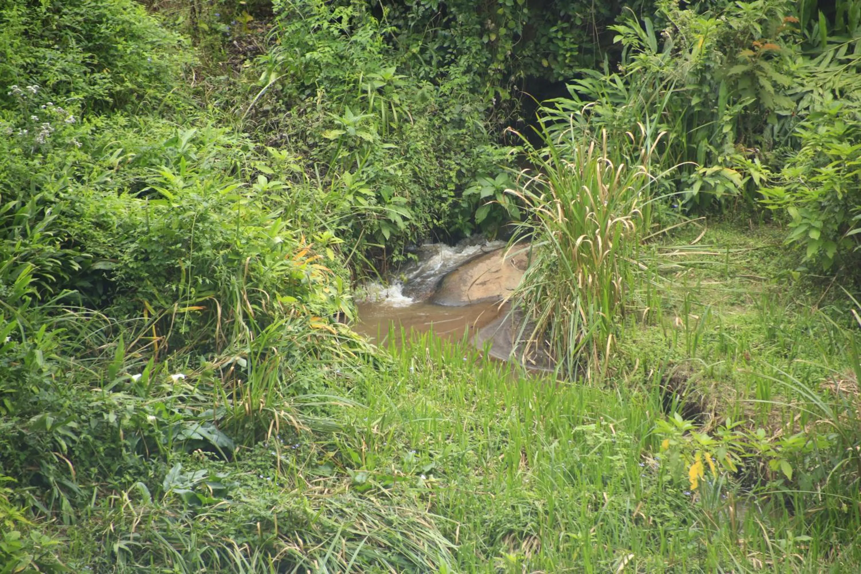 Property building in LUSHOTO EXECUTIVE LODGE