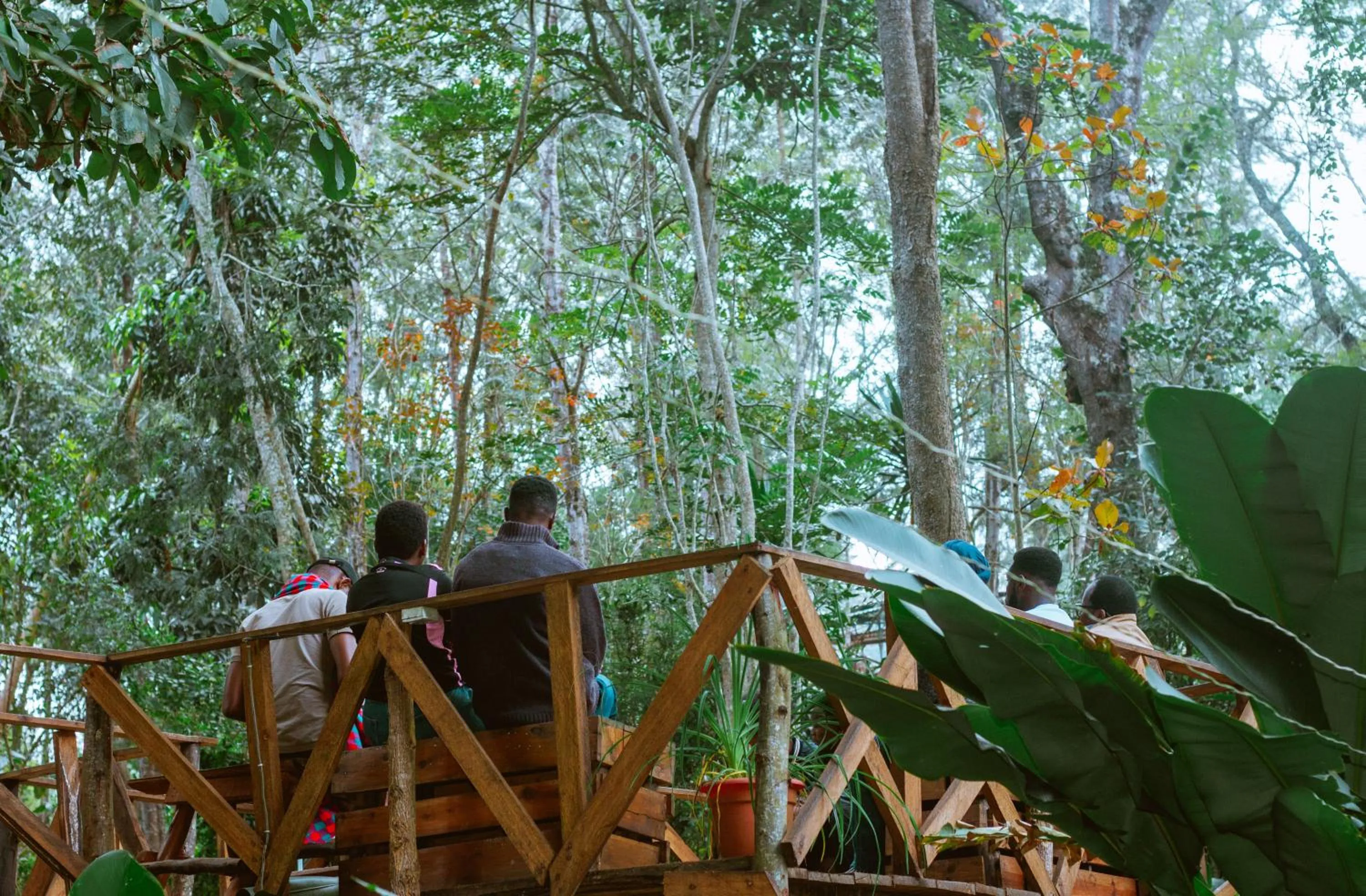 Restaurant/places to eat in LUSHOTO EXECUTIVE LODGE