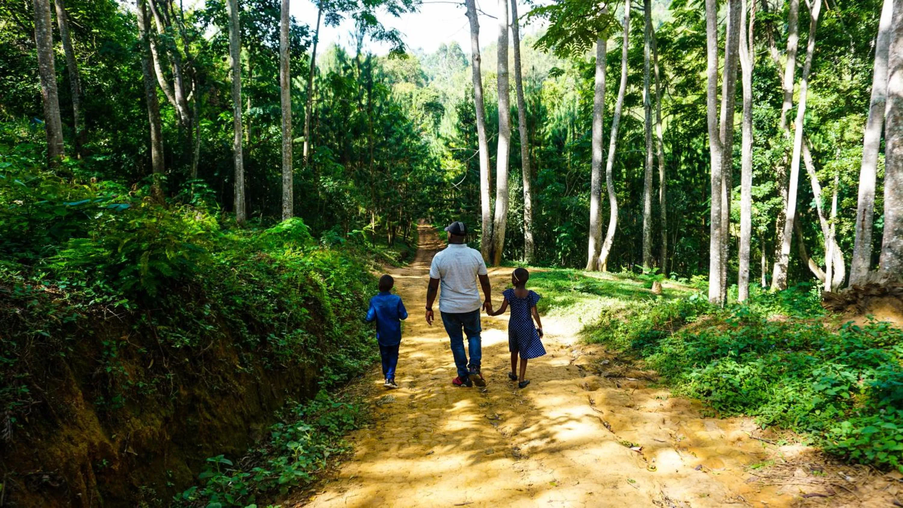 Hiking in LUSHOTO EXECUTIVE LODGE