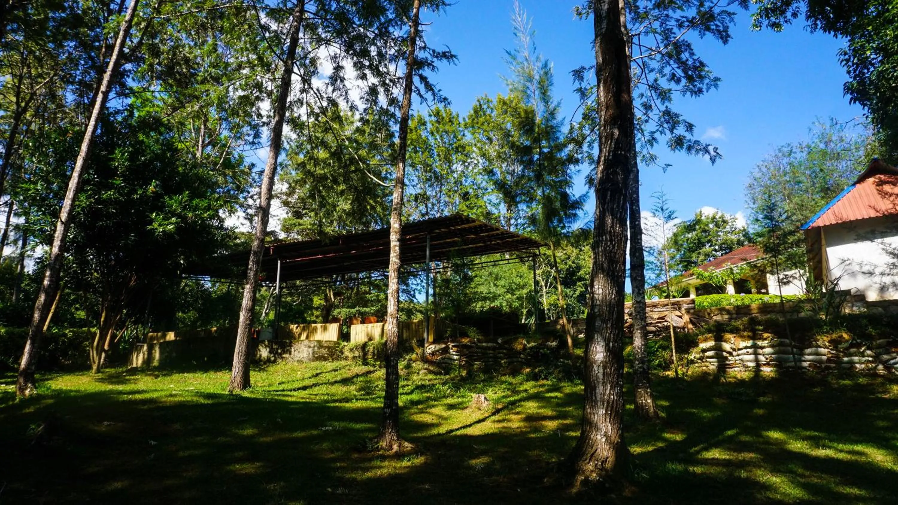 Restaurant/places to eat in LUSHOTO EXECUTIVE LODGE