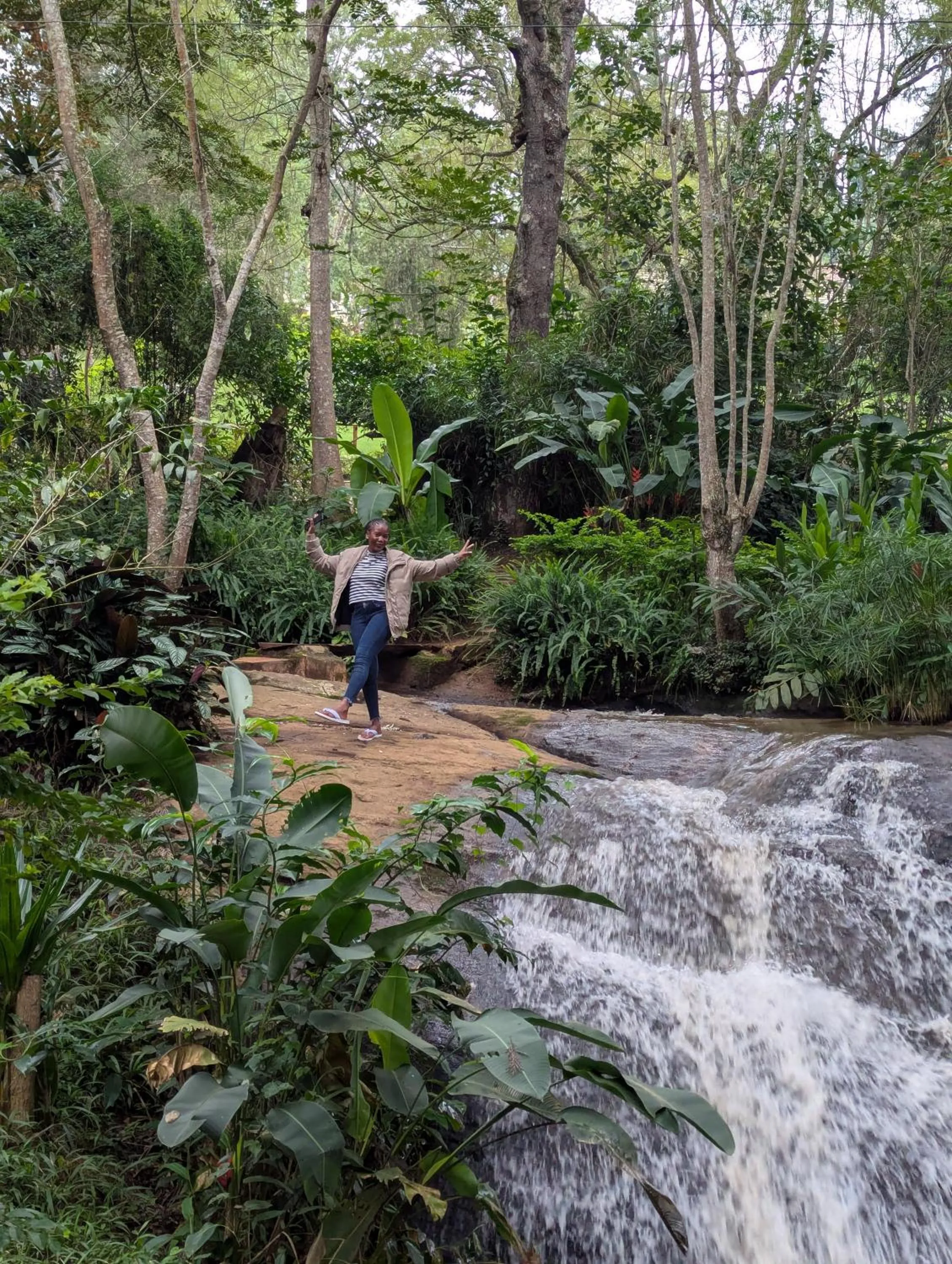 Natural landscape in LUSHOTO EXECUTIVE LODGE