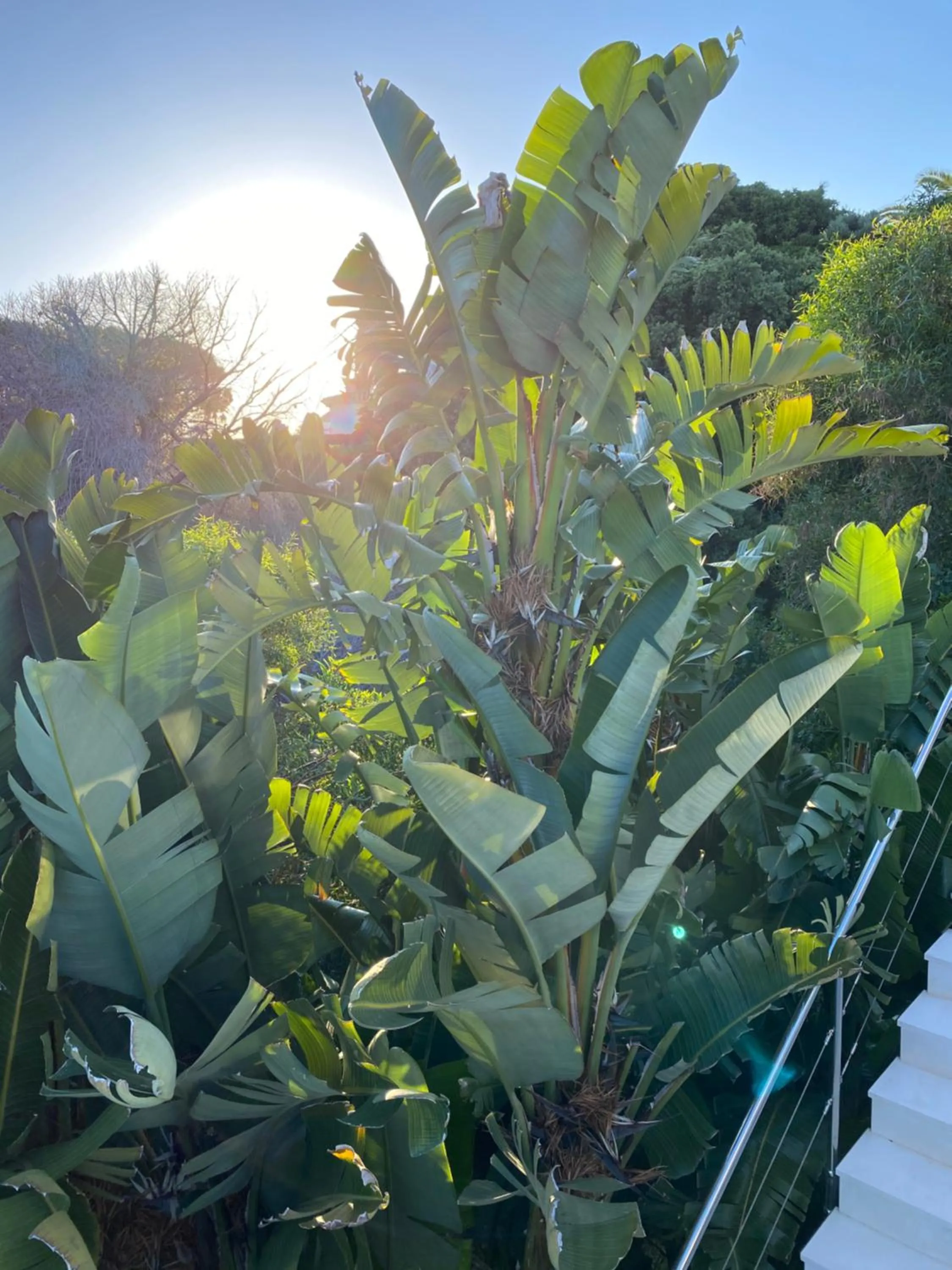 Property building in Casa Bodhi Boutique Hotel & Spa