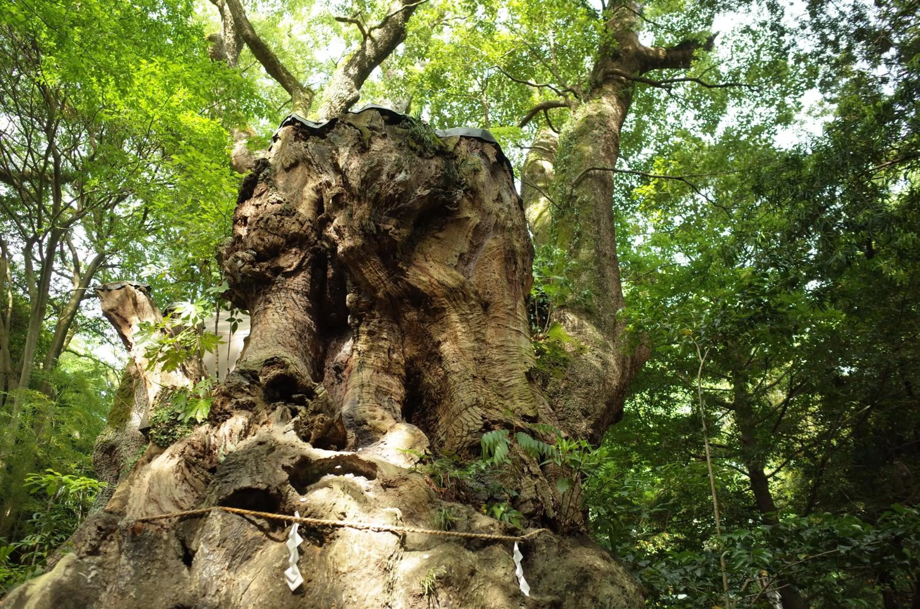 Nearby landmark in bnb+Atami Resort