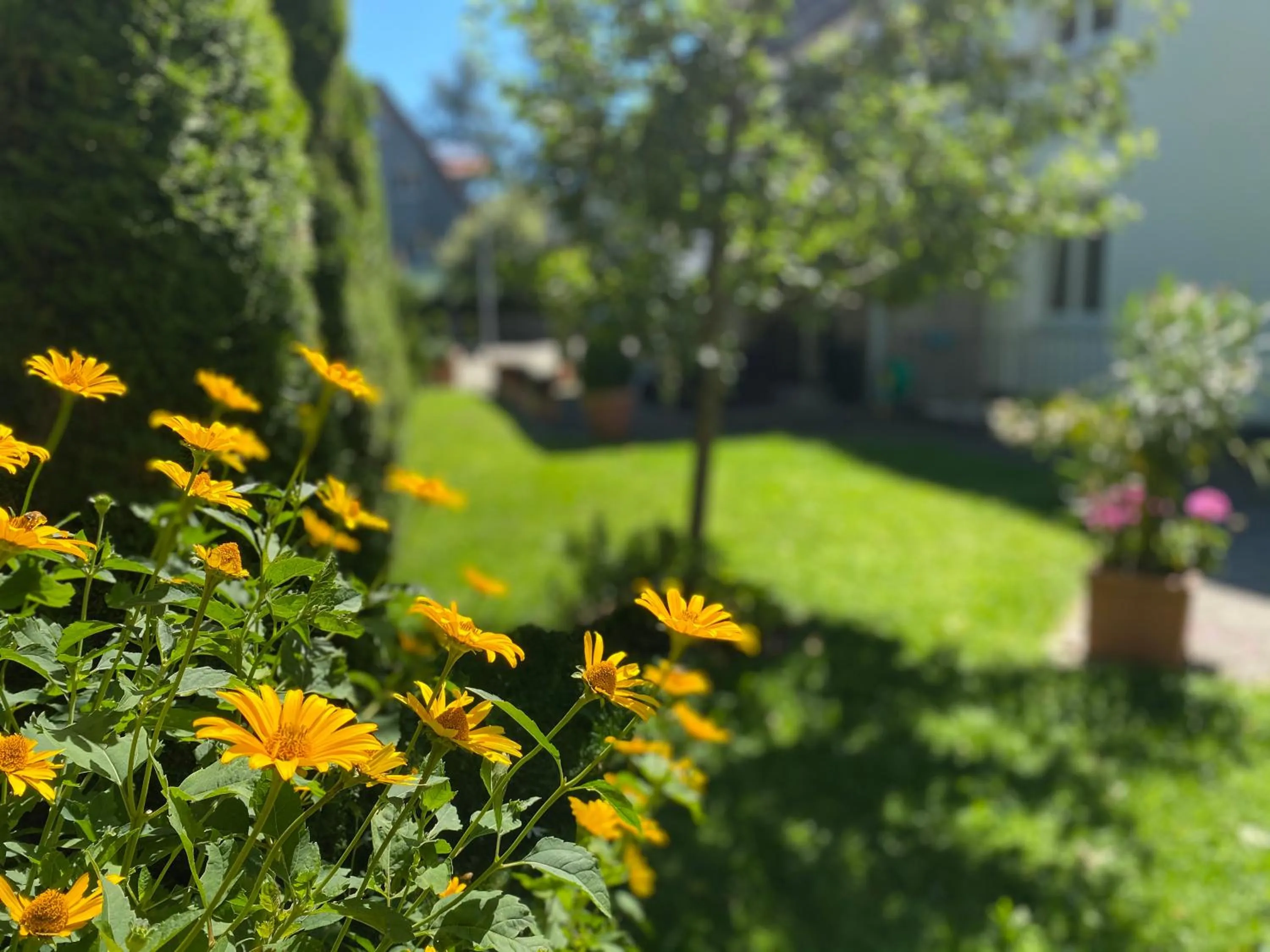 Garden in Hotel Villa Solln - free parking