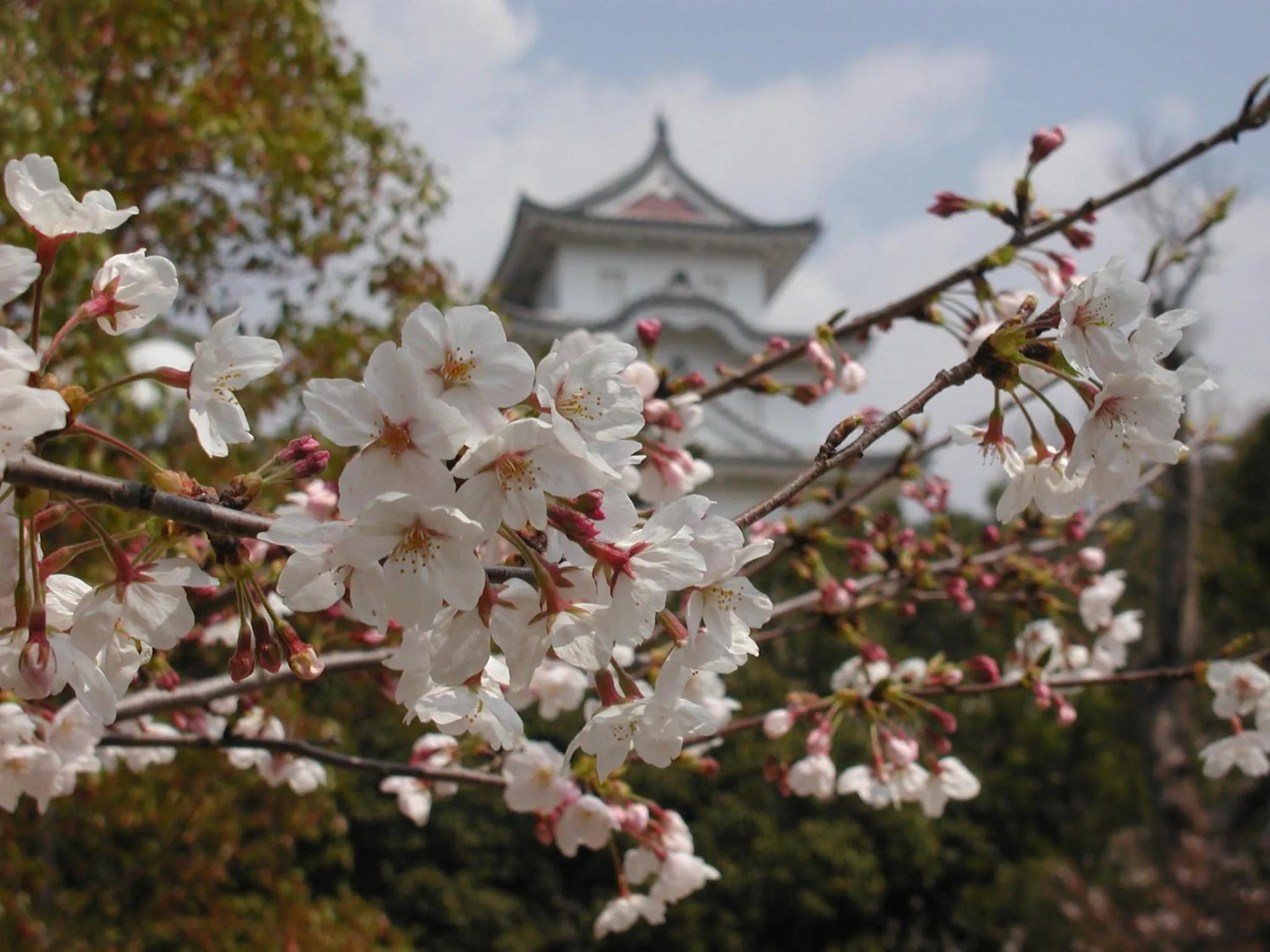 Business Ryokan Akashiya Annex
