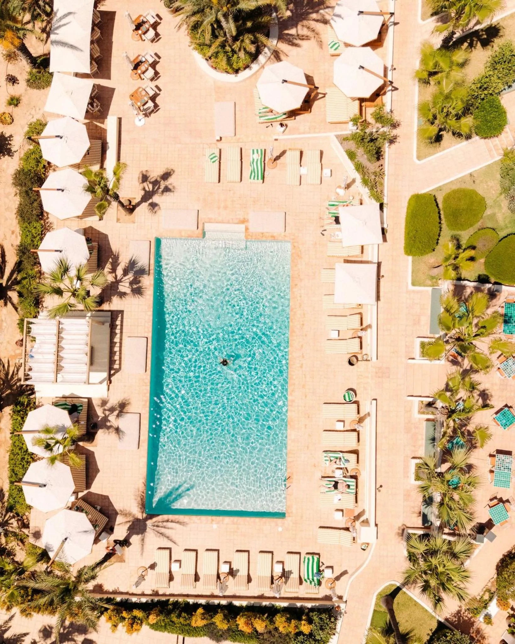 Swimming pool in Petunia Ibiza, a Beaumier hotel