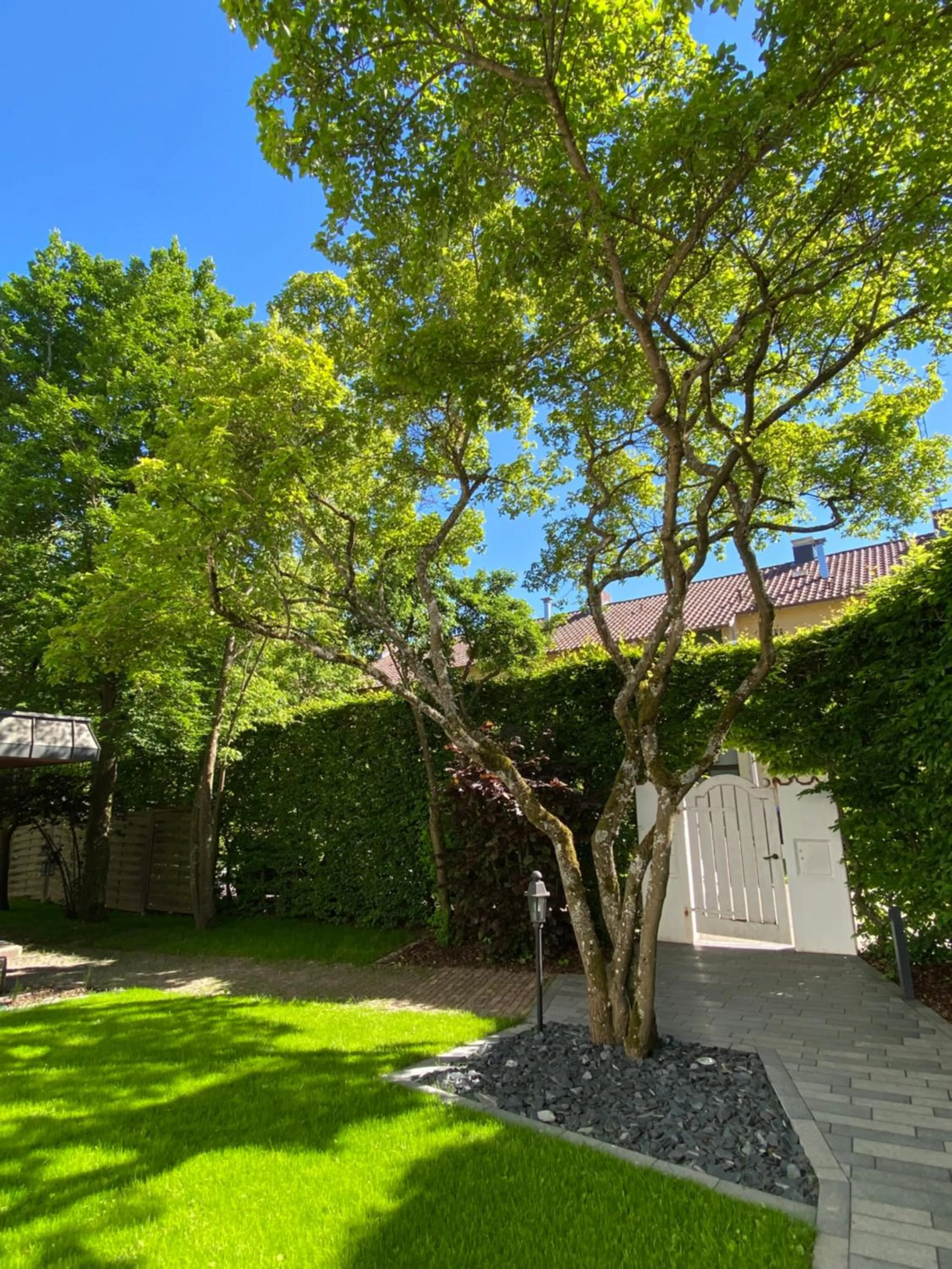 Garden in Toploft Serviced Apartments