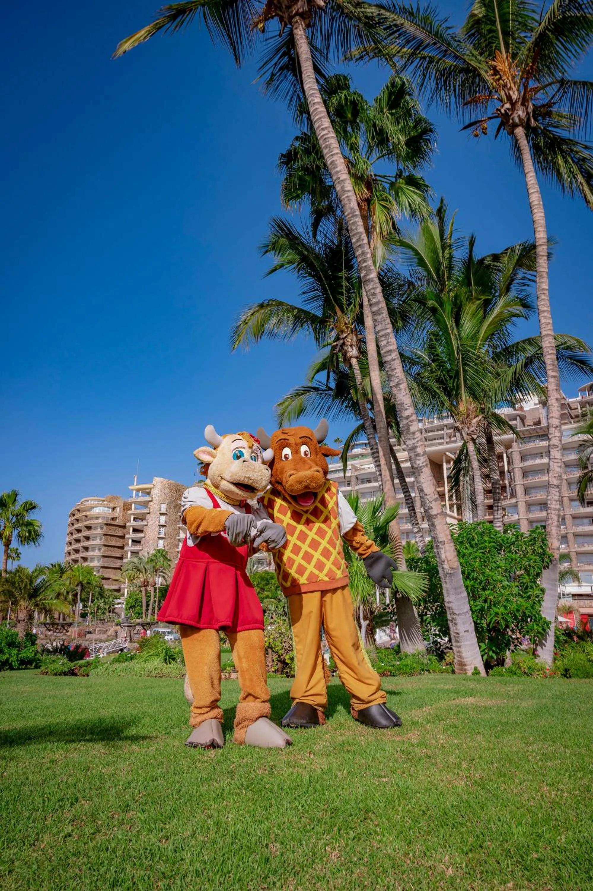 Pets in Anfi del Mar 2