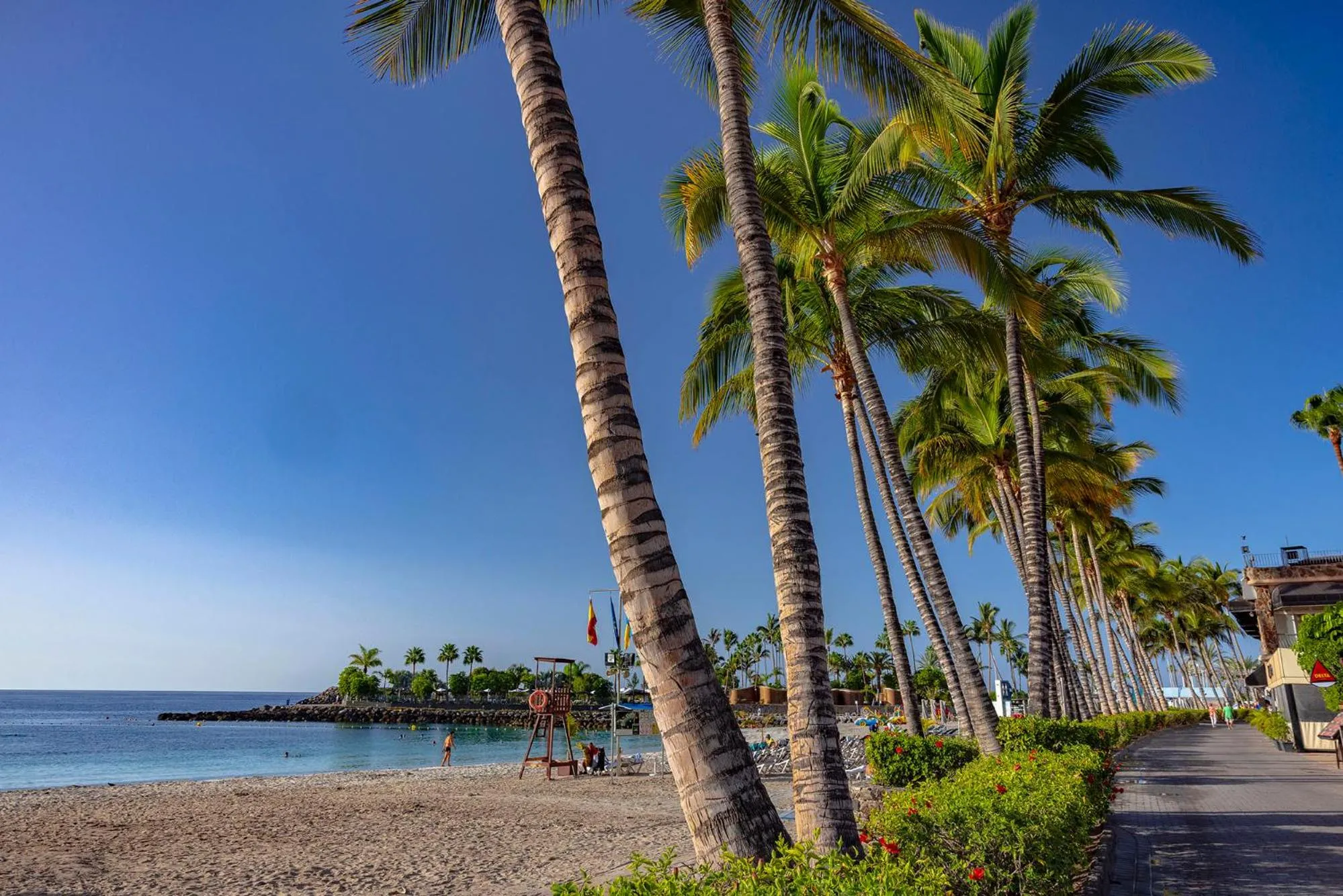 Beach in Anfi del Mar 2