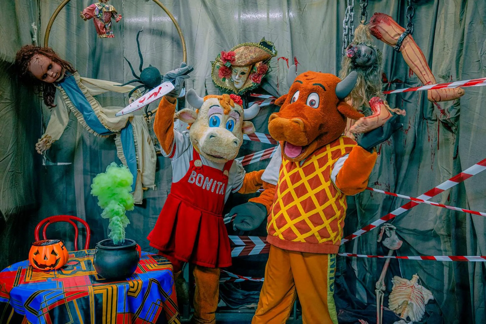 Pets in Anfi del Mar 2