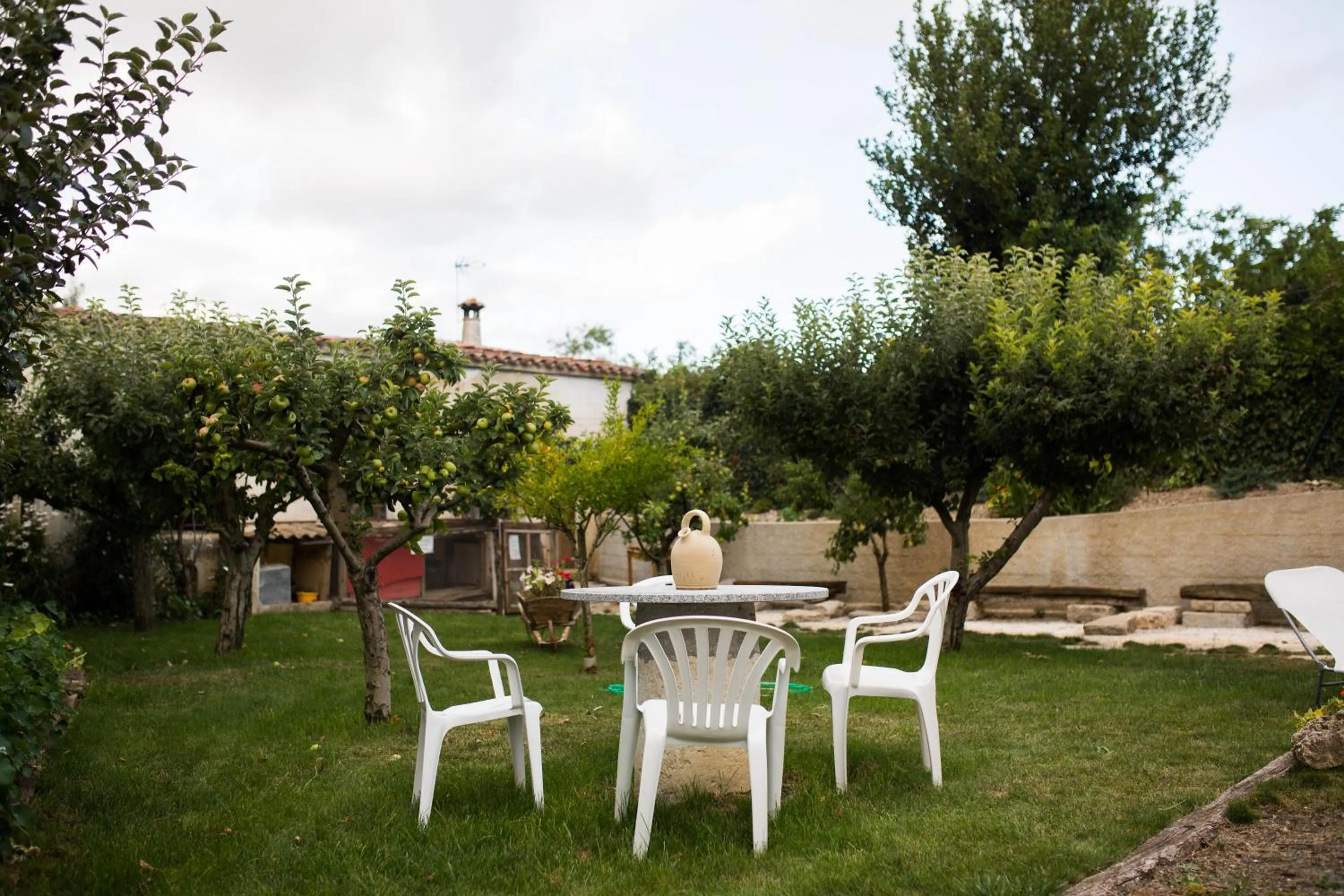Garden view in Casa de la Cadena