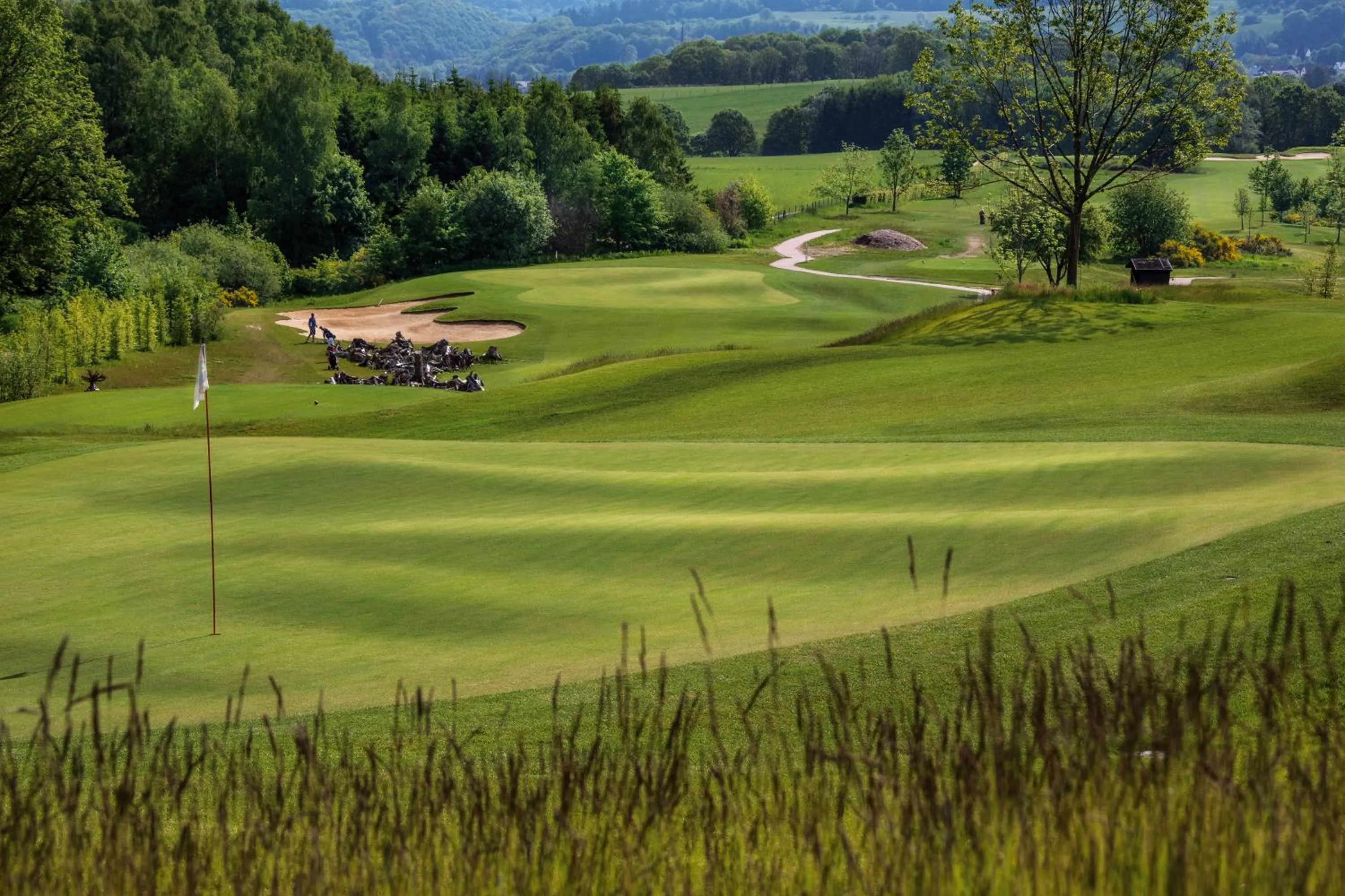 Golfcourse in Hotel Weiherhof am Golfpark
