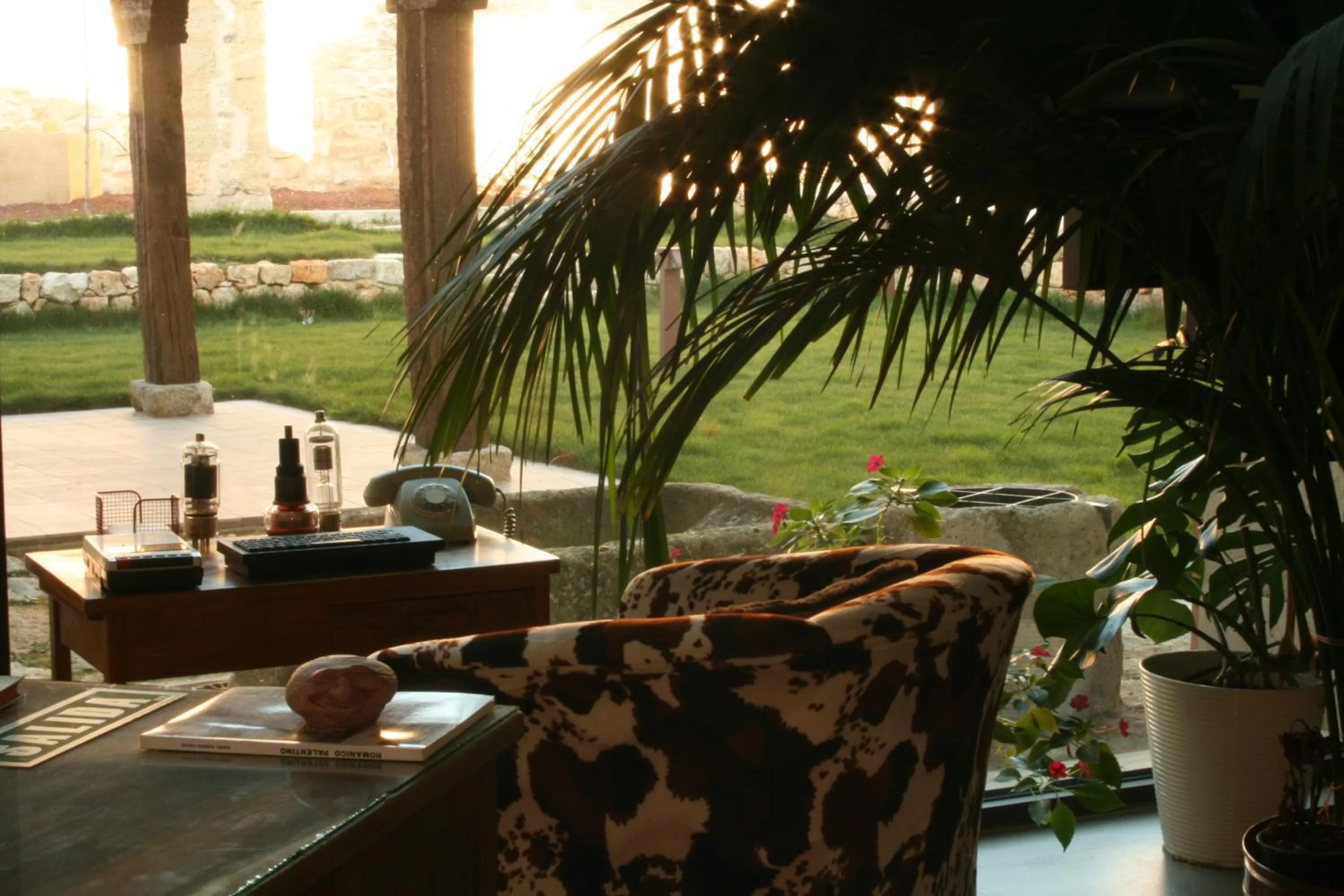 Garden view in La Posada de las Casitas