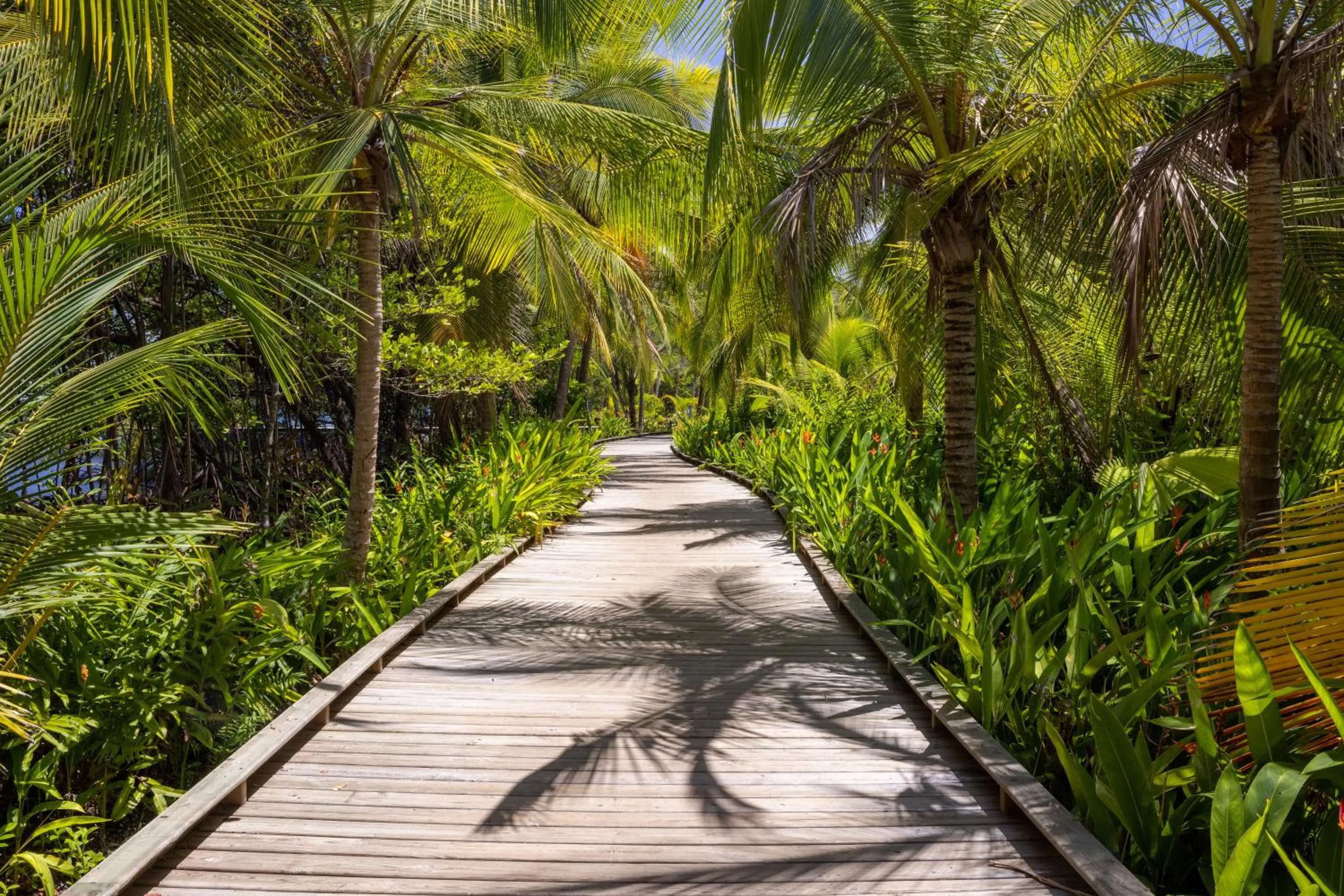 Natural landscape in Nayara Bocas del Toro