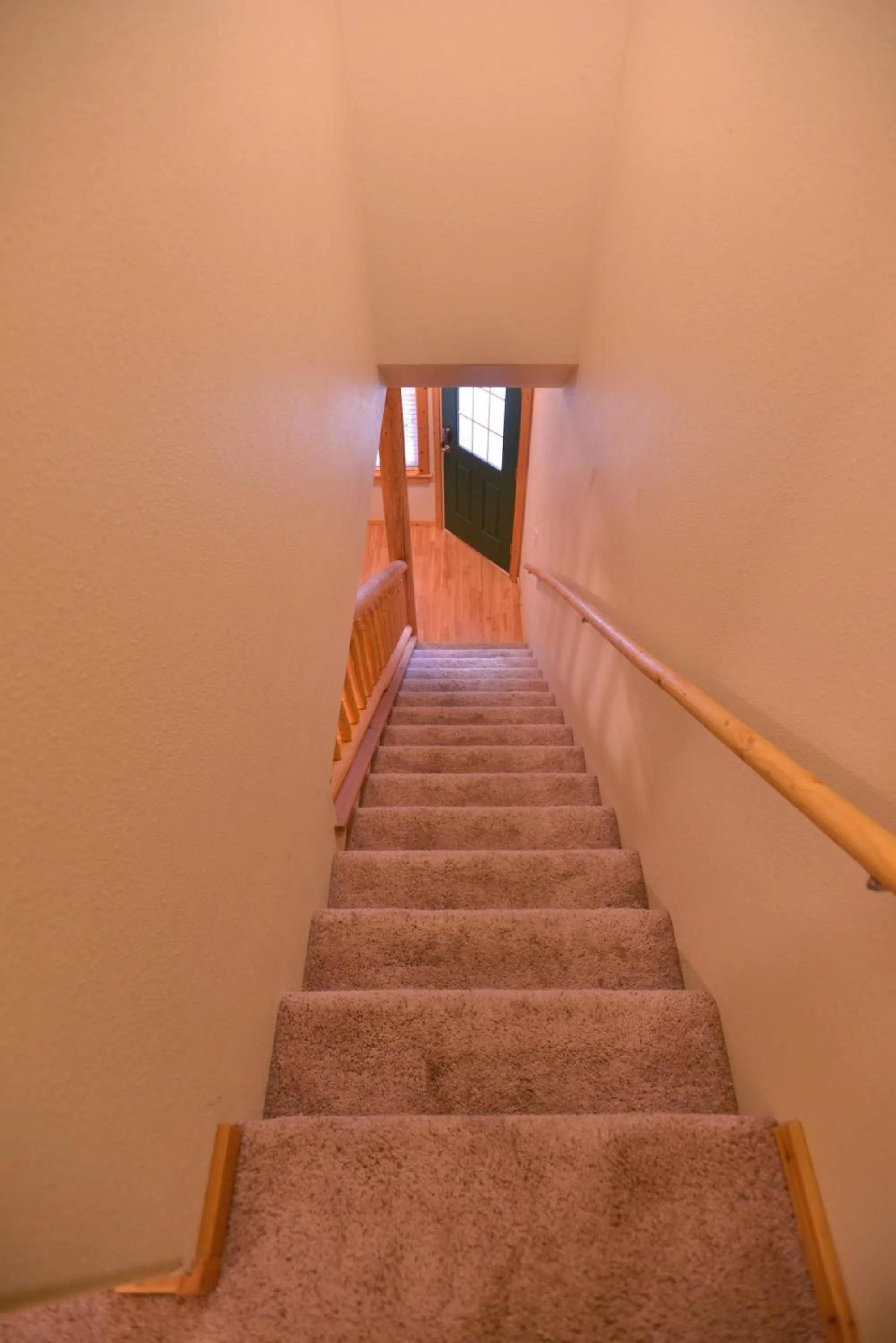 Mountain Therapy by Casago McCall - Donerightmanagement