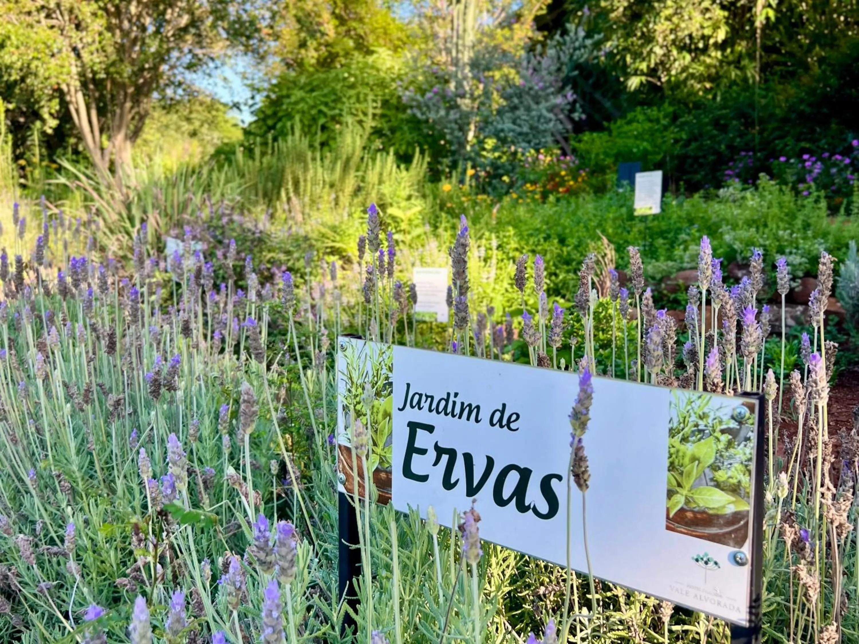 Garden in Hotel Fazenda Vale Alvorada