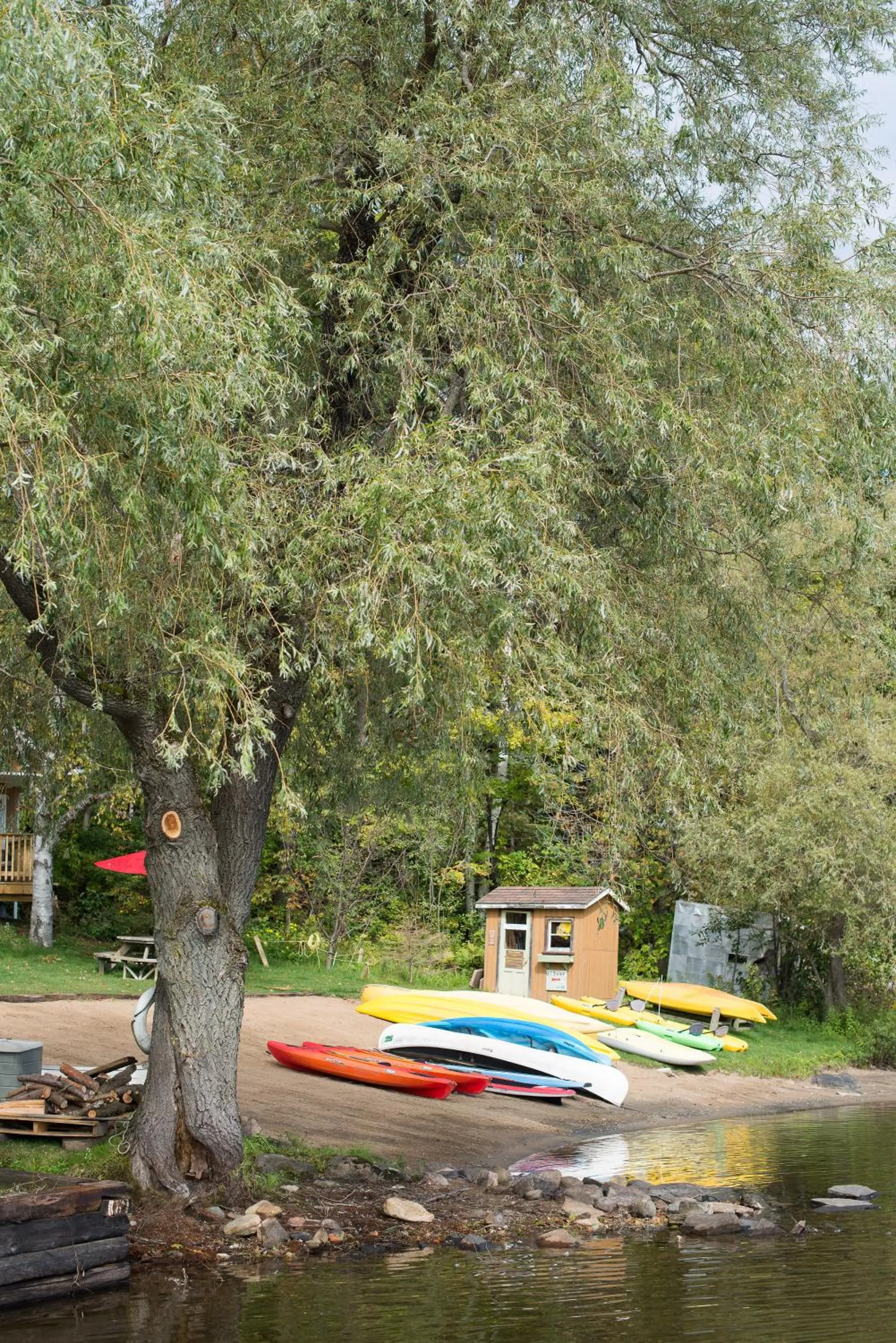 Canoeing in Ogopogo Resort