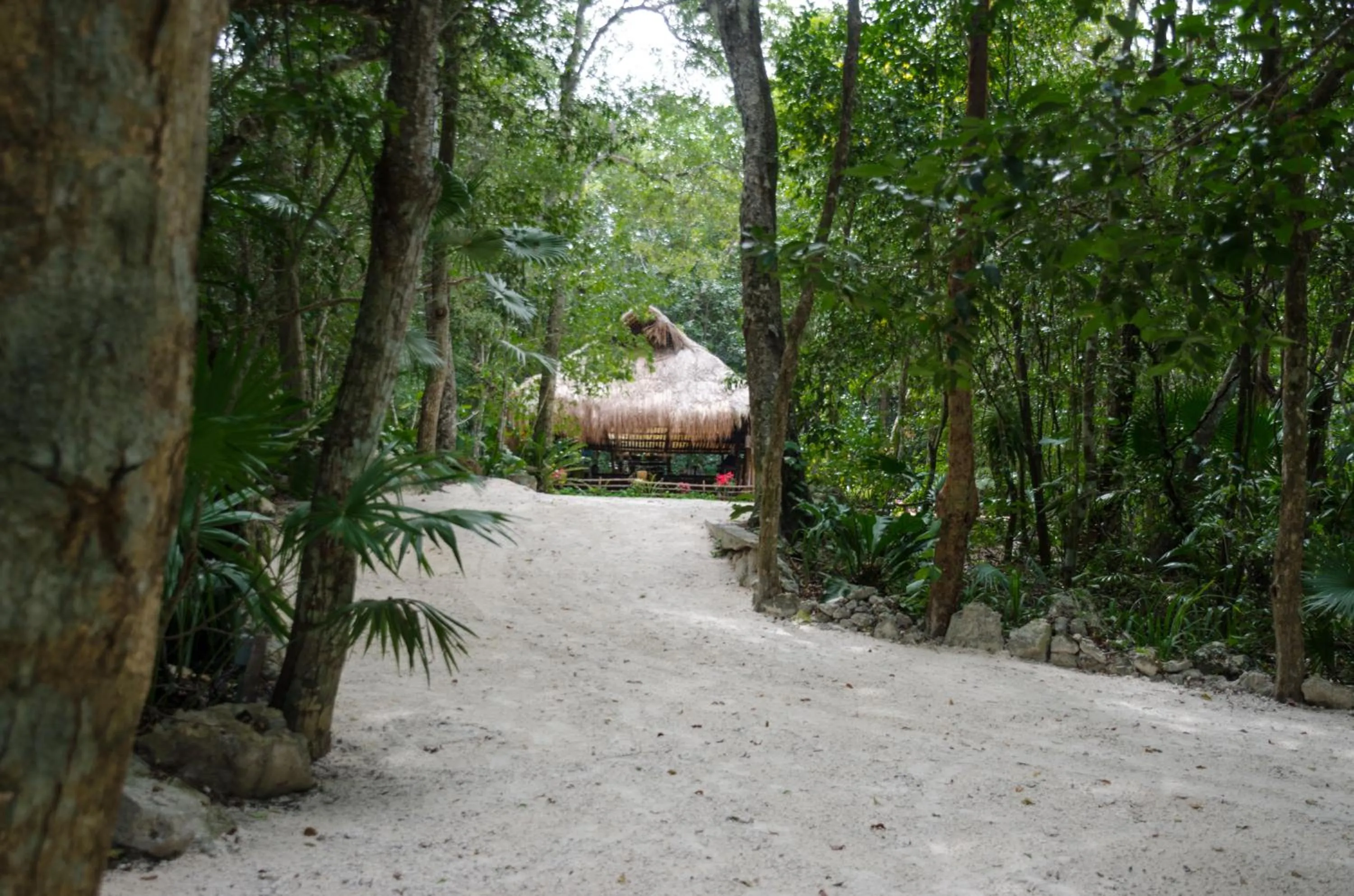 Natural landscape in Glamping Mama Loo mm