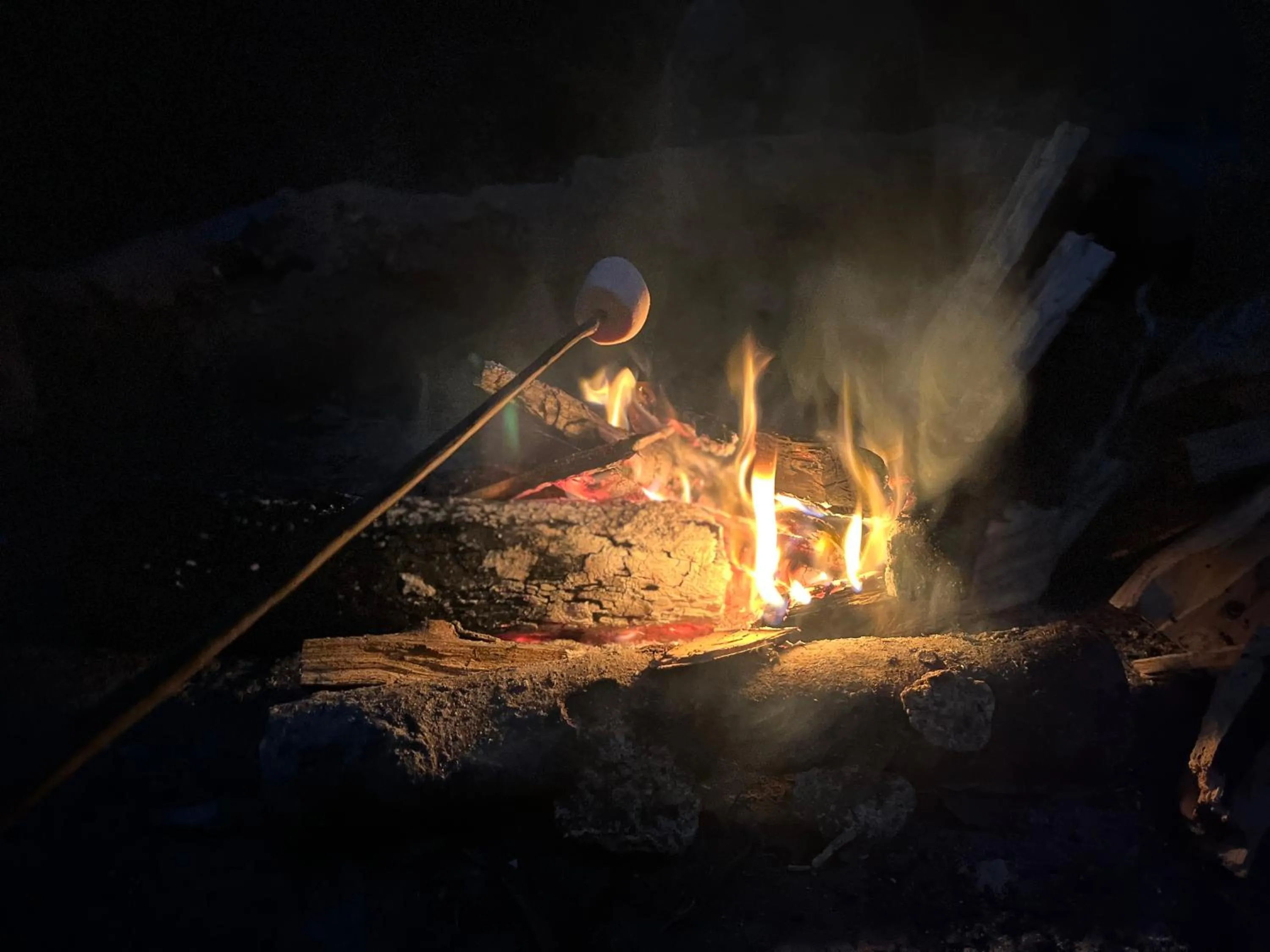 BBQ facilities in Glamping Mama Loo mm