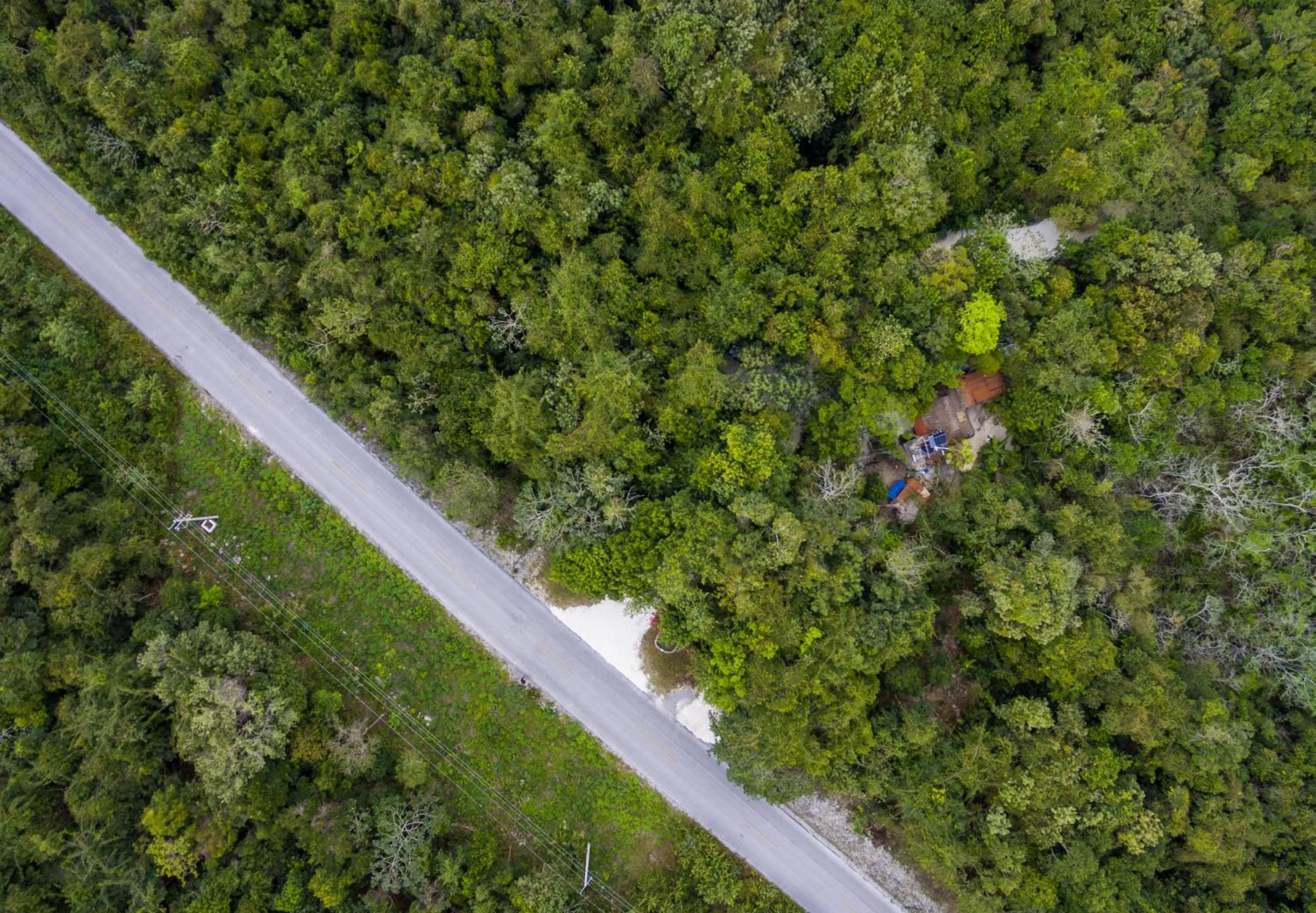 Bird's eye view in Glamping Mama Loo mm