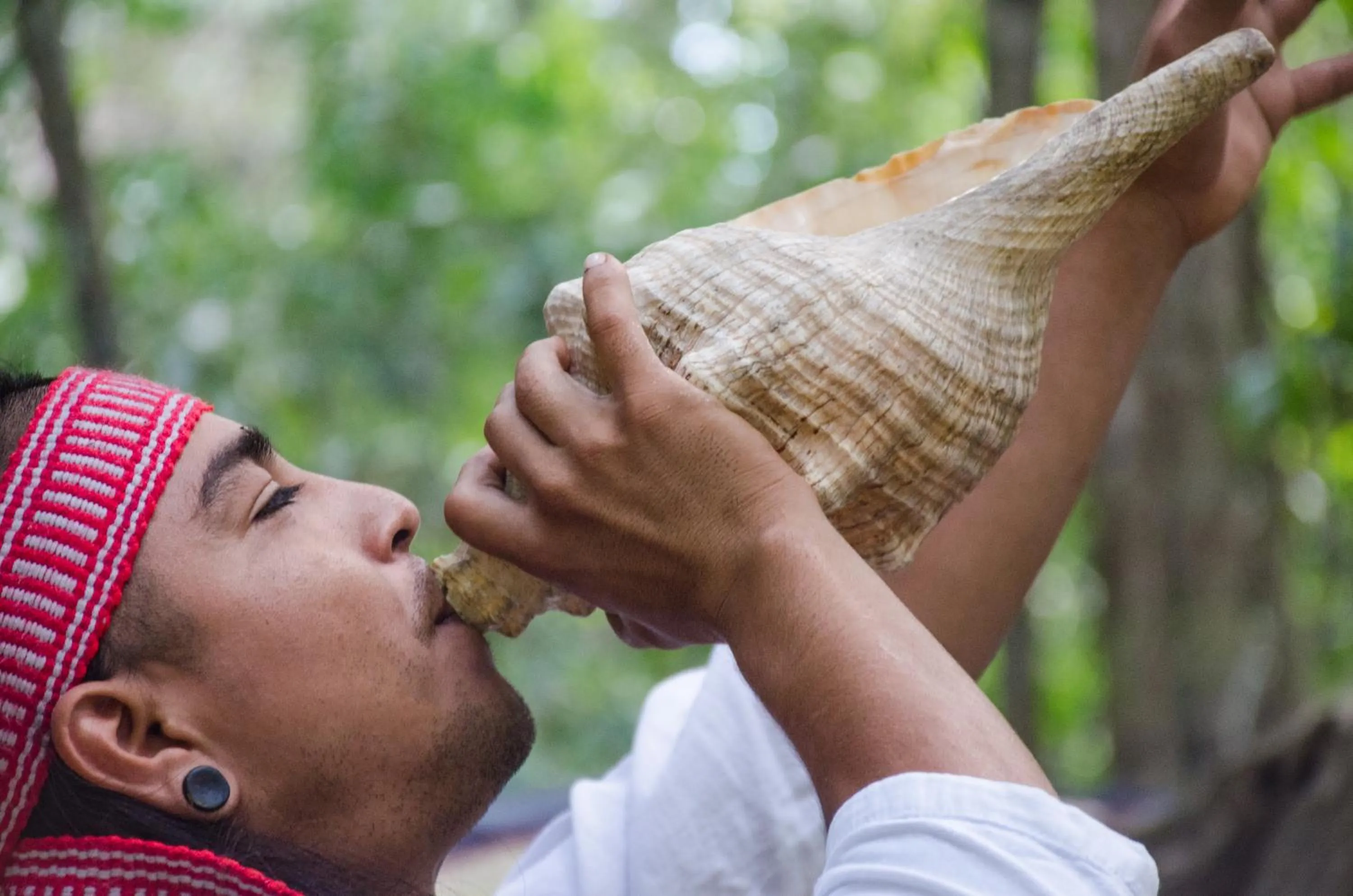 People in Glamping Mama Loo mm