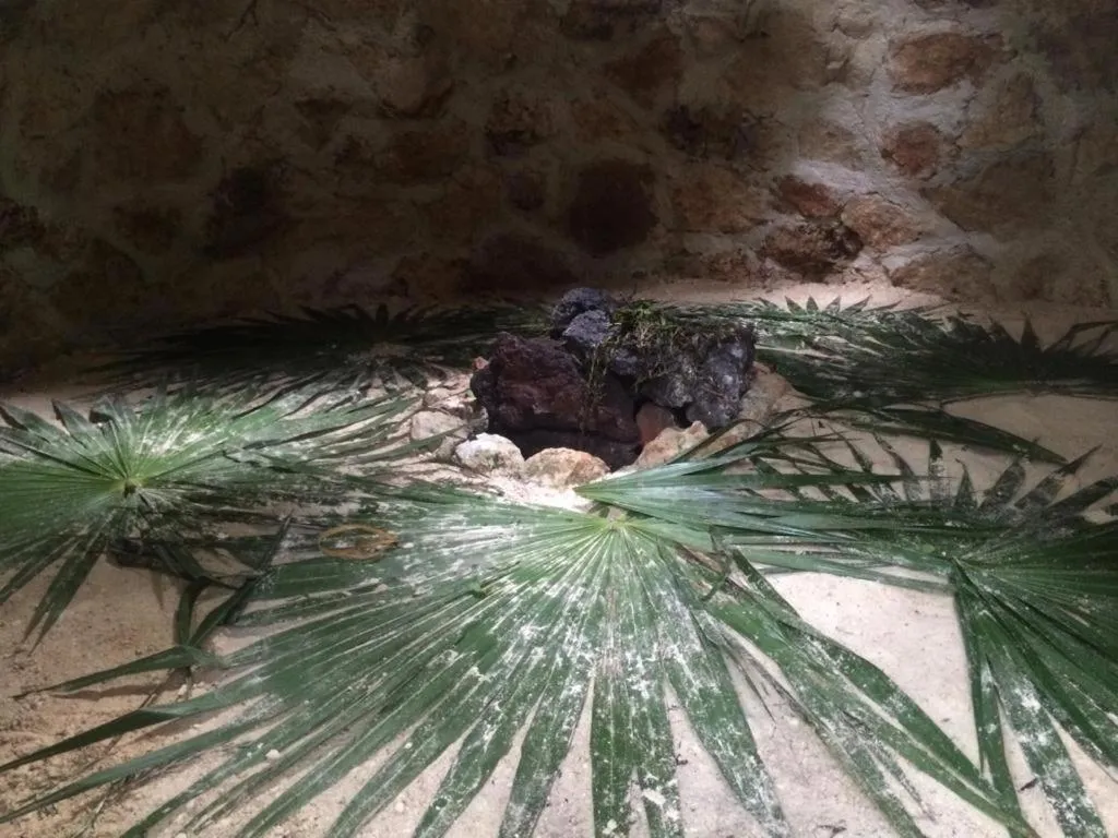 Spa and wellness centre/facilities in Glamping Mama Loo mm