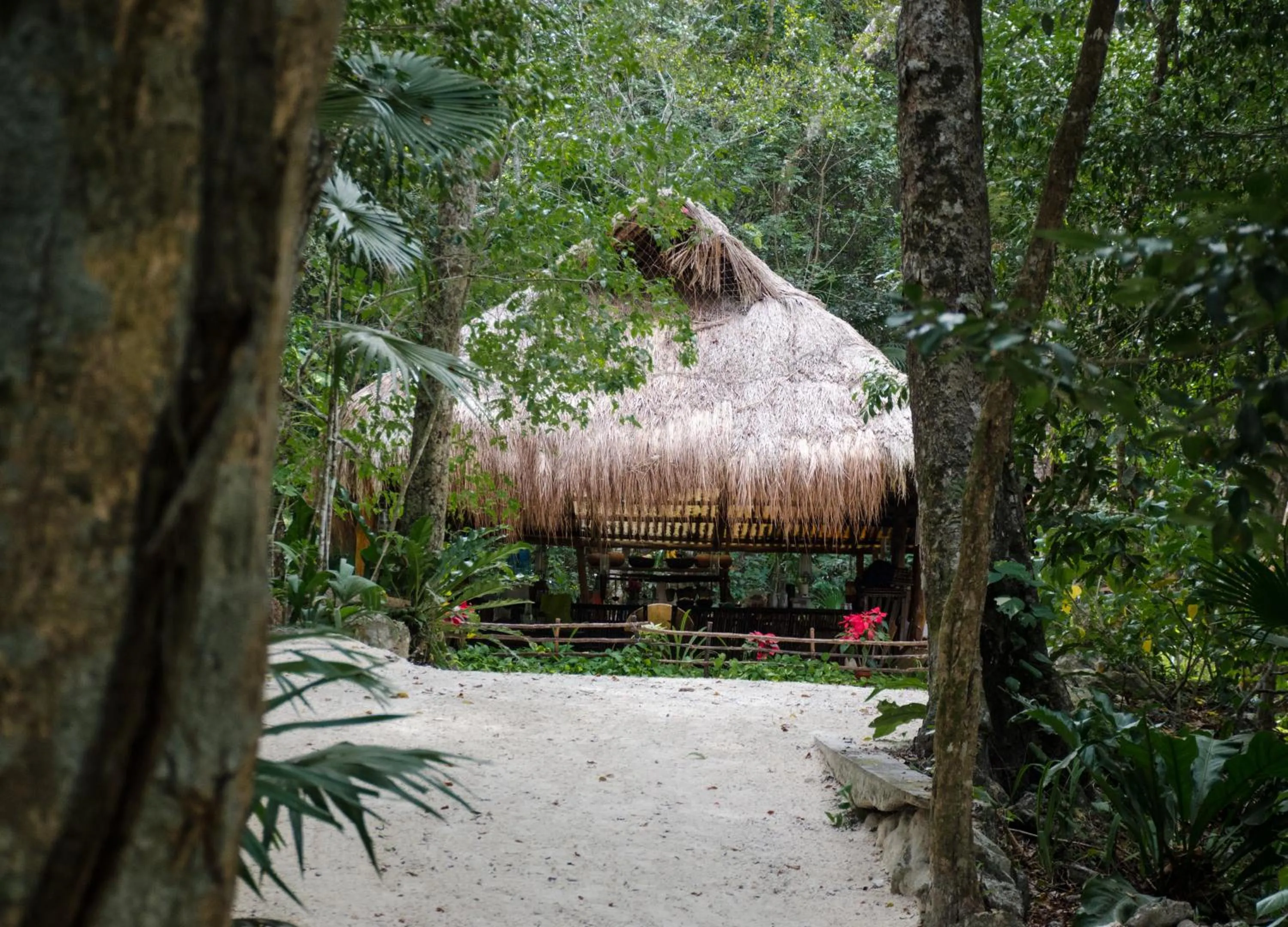 Area and facilities in Glamping Mama Loo mm