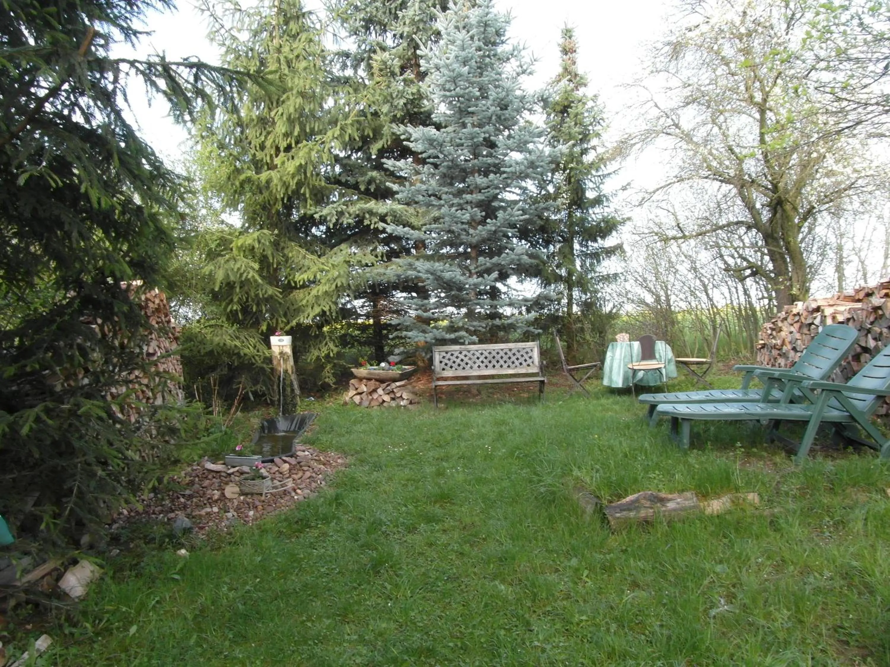 BBQ facilities in Landhotel BurgenBlick Garni & Tagungshotel