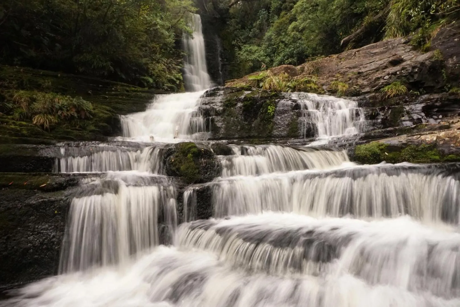 Nearby landmark in The Whistling Frog Resort