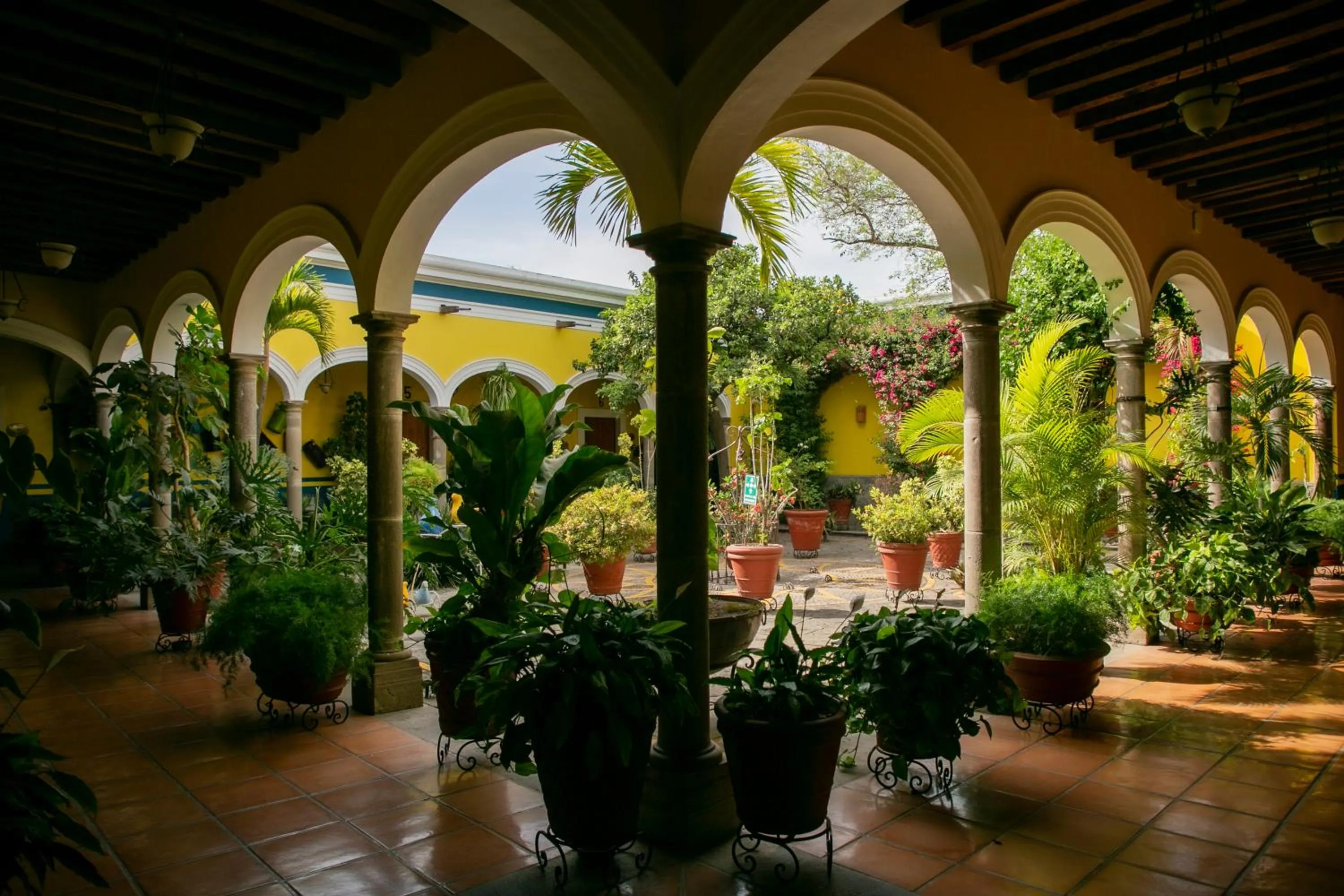 Spring in La Casa de los Patios Hotel & Spa