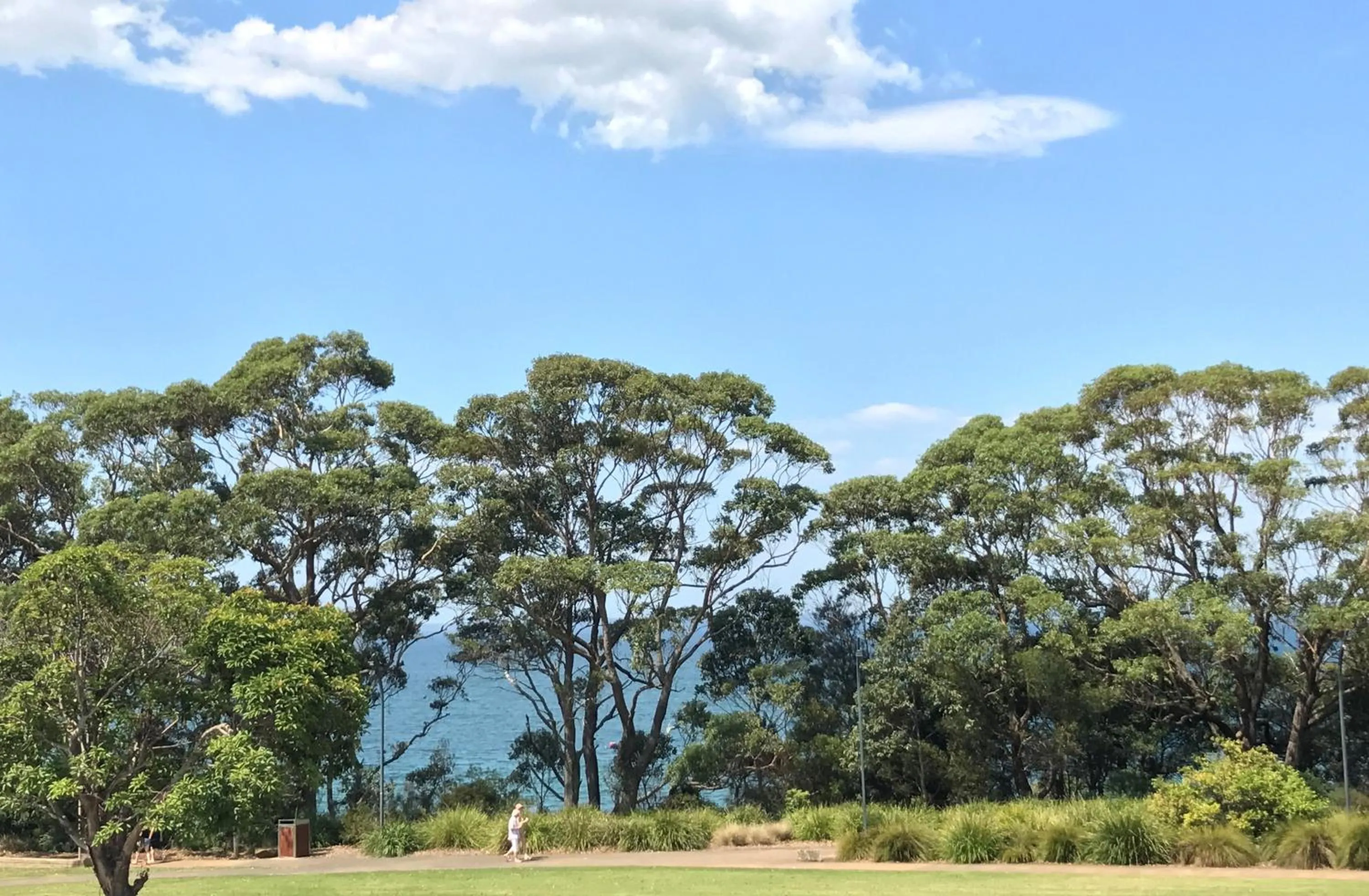 Natural landscape in Huskisson Beach Motel