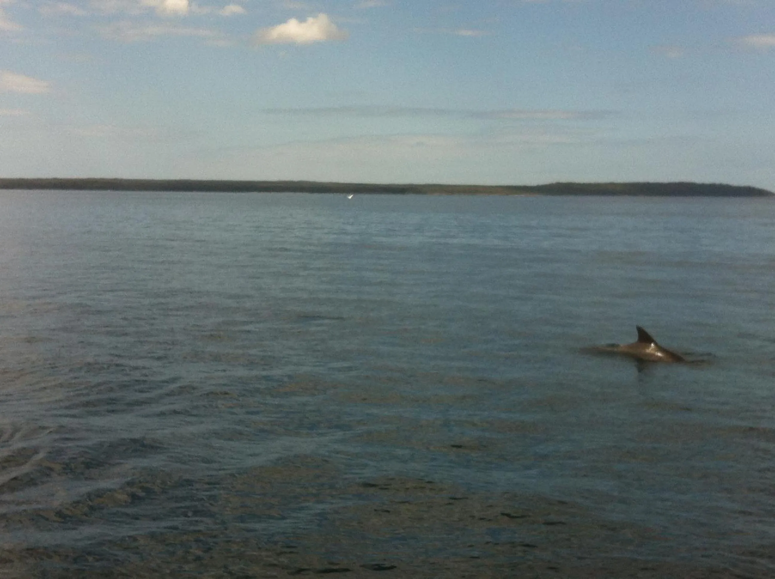 Natural landscape in Huskisson Beach Motel