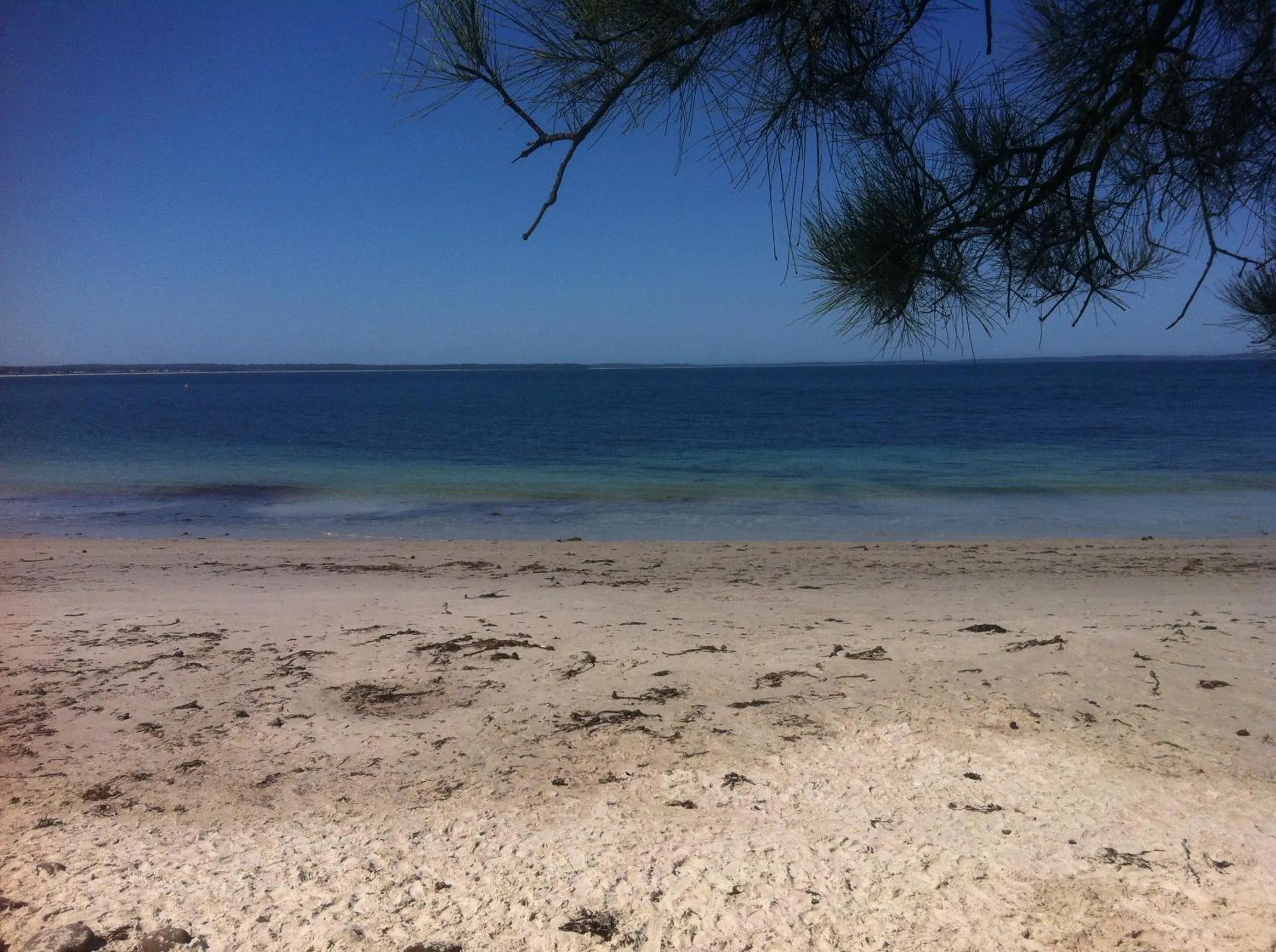Natural landscape in Huskisson Beach Motel