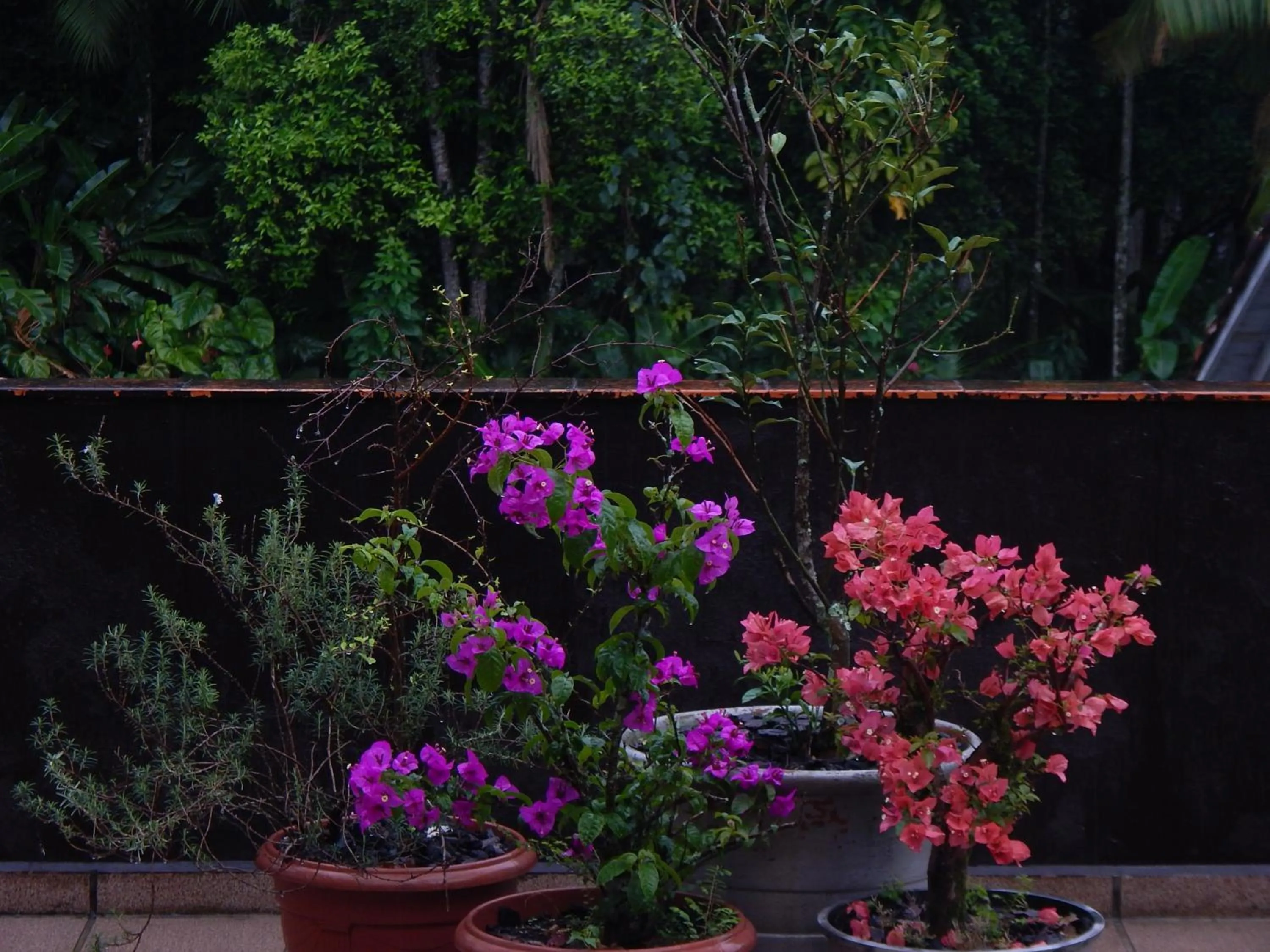 View (from property/room) in Pousada Oma Helga