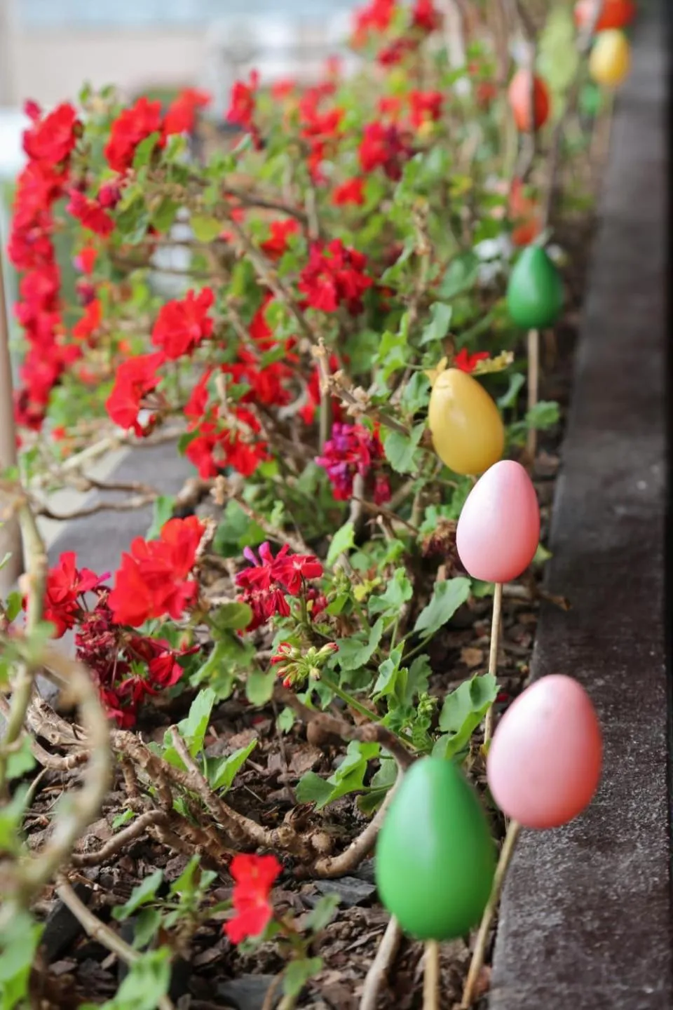 Garden view in Pousada Oma Helga