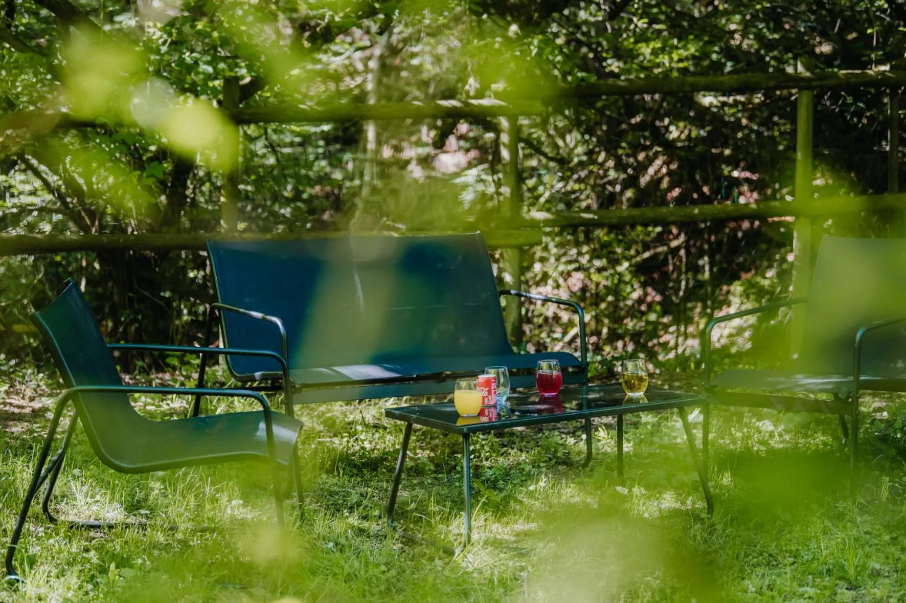 Garden in LES PRIMEVERES