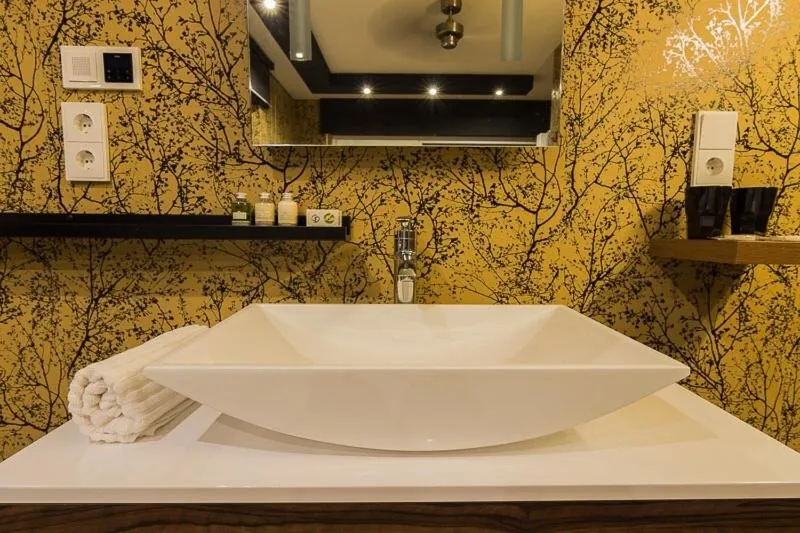 Shower in Hotel Palatino