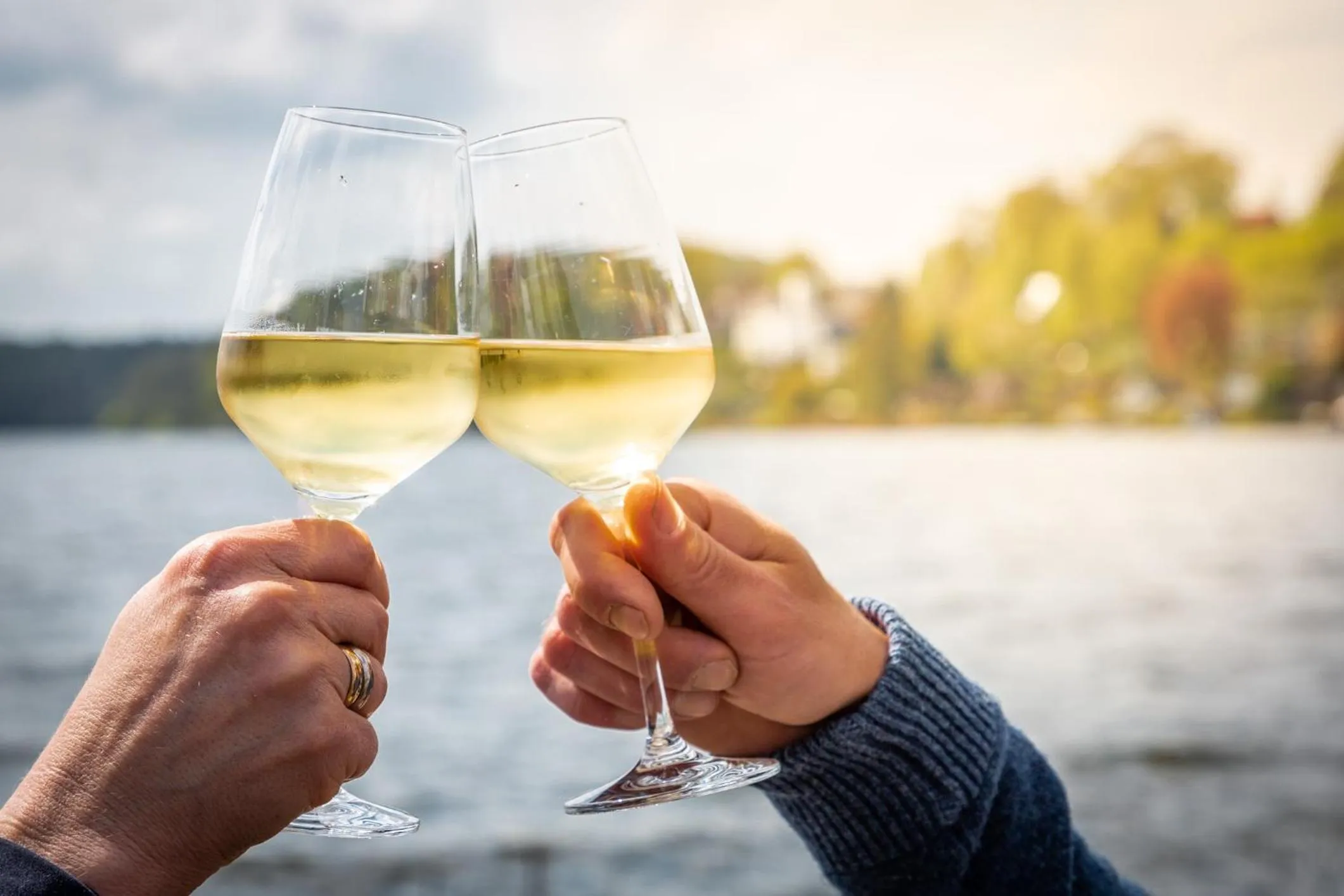 Garden in Hotel Der Seehof