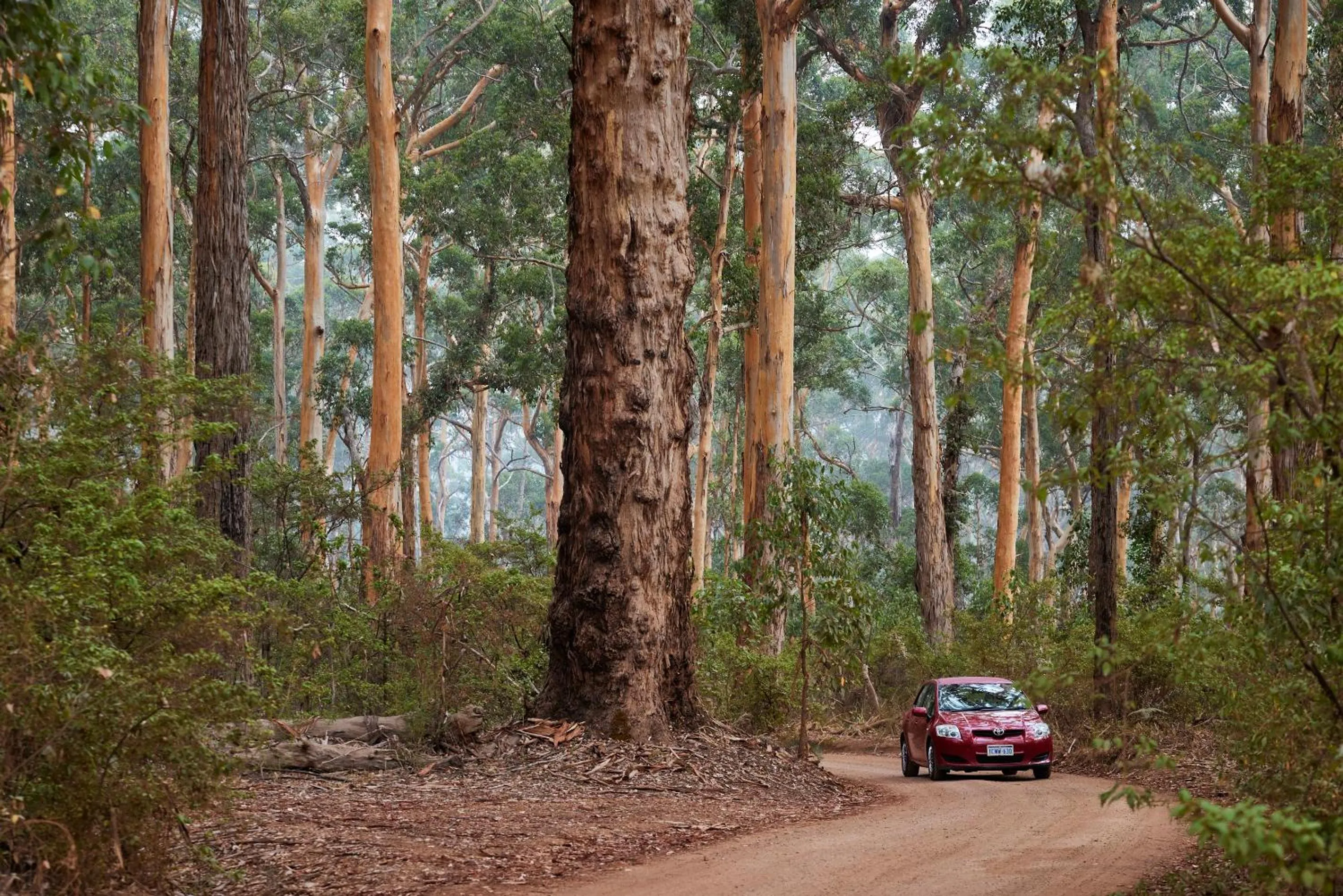 Natural landscape in RAC Margaret River Nature Park