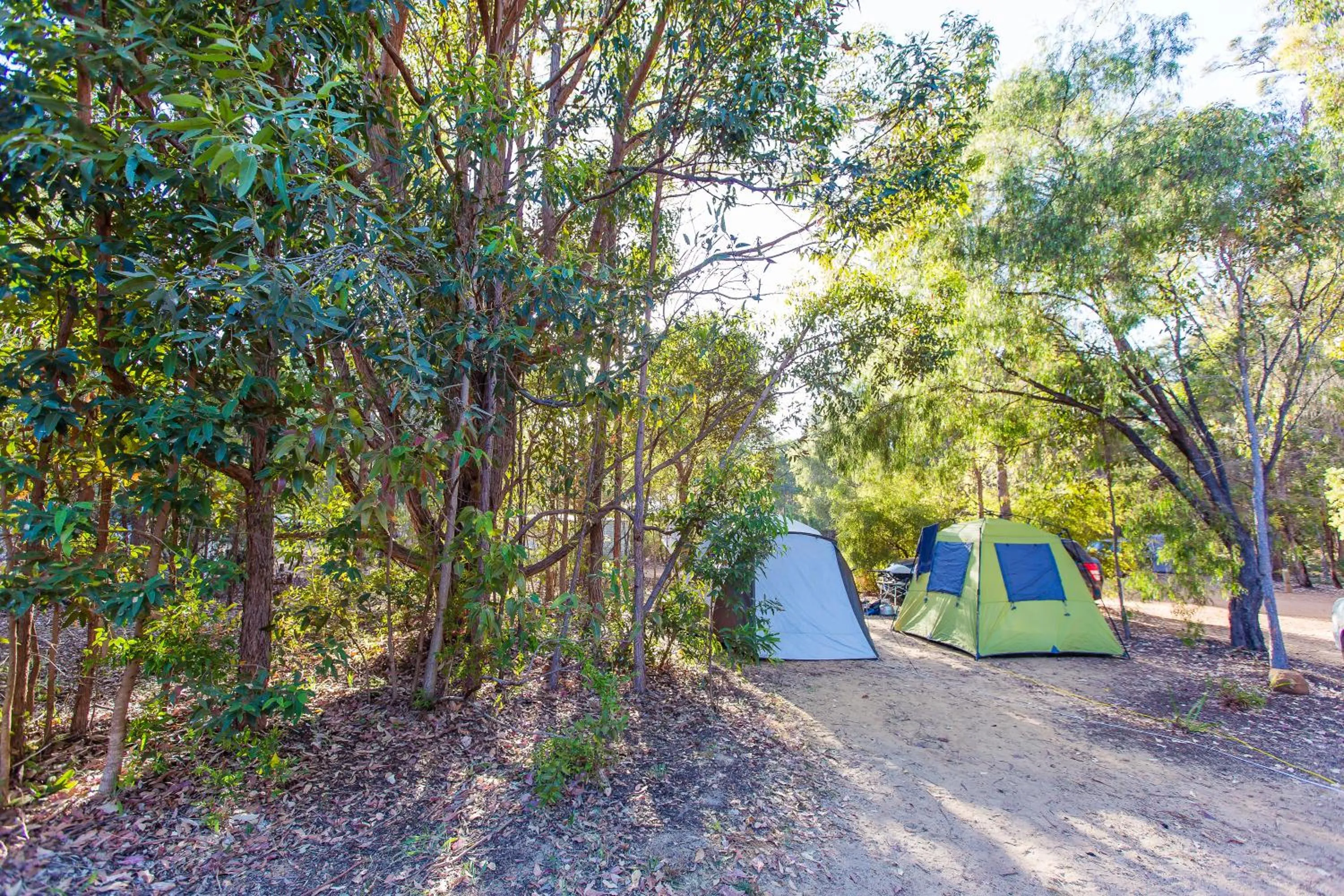 Area and facilities in RAC Margaret River Nature Park