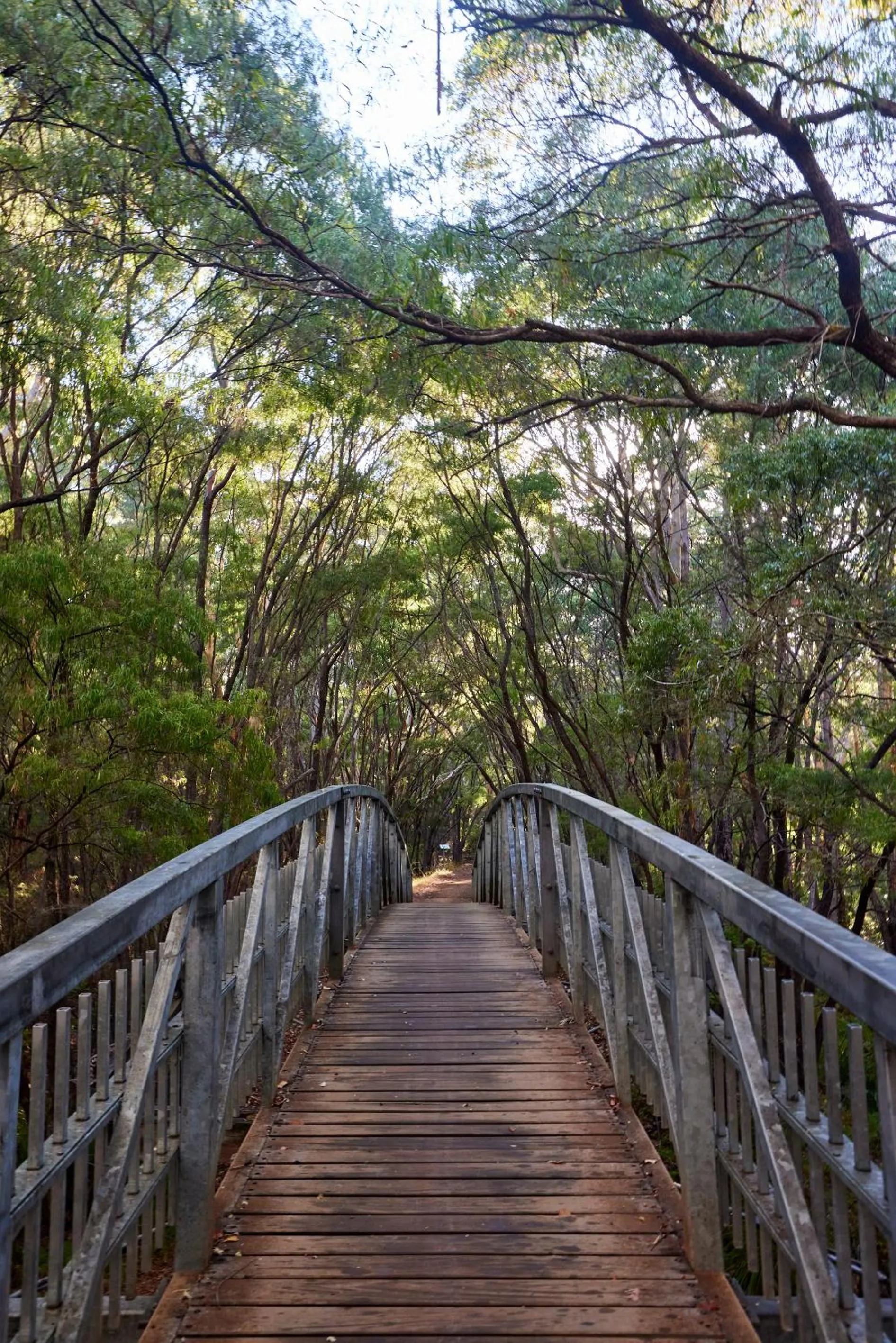 Natural landscape in RAC Margaret River Nature Park
