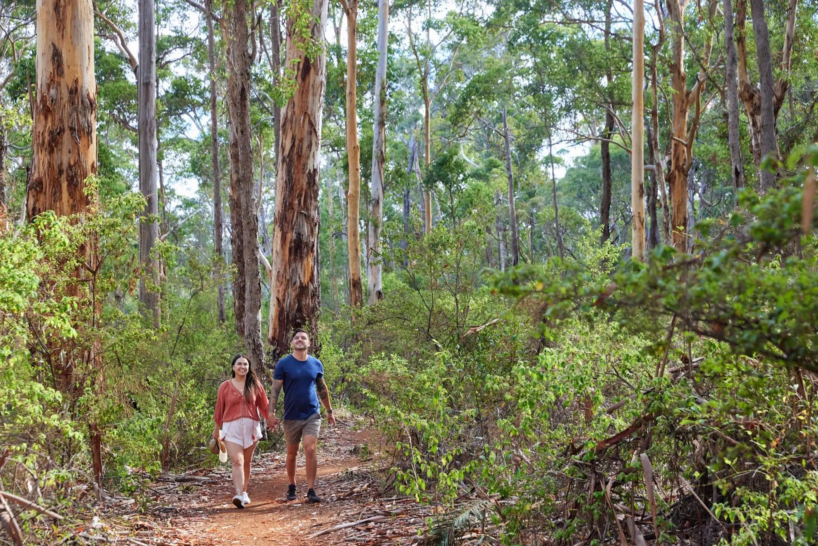 Natural landscape in RAC Margaret River Nature Park