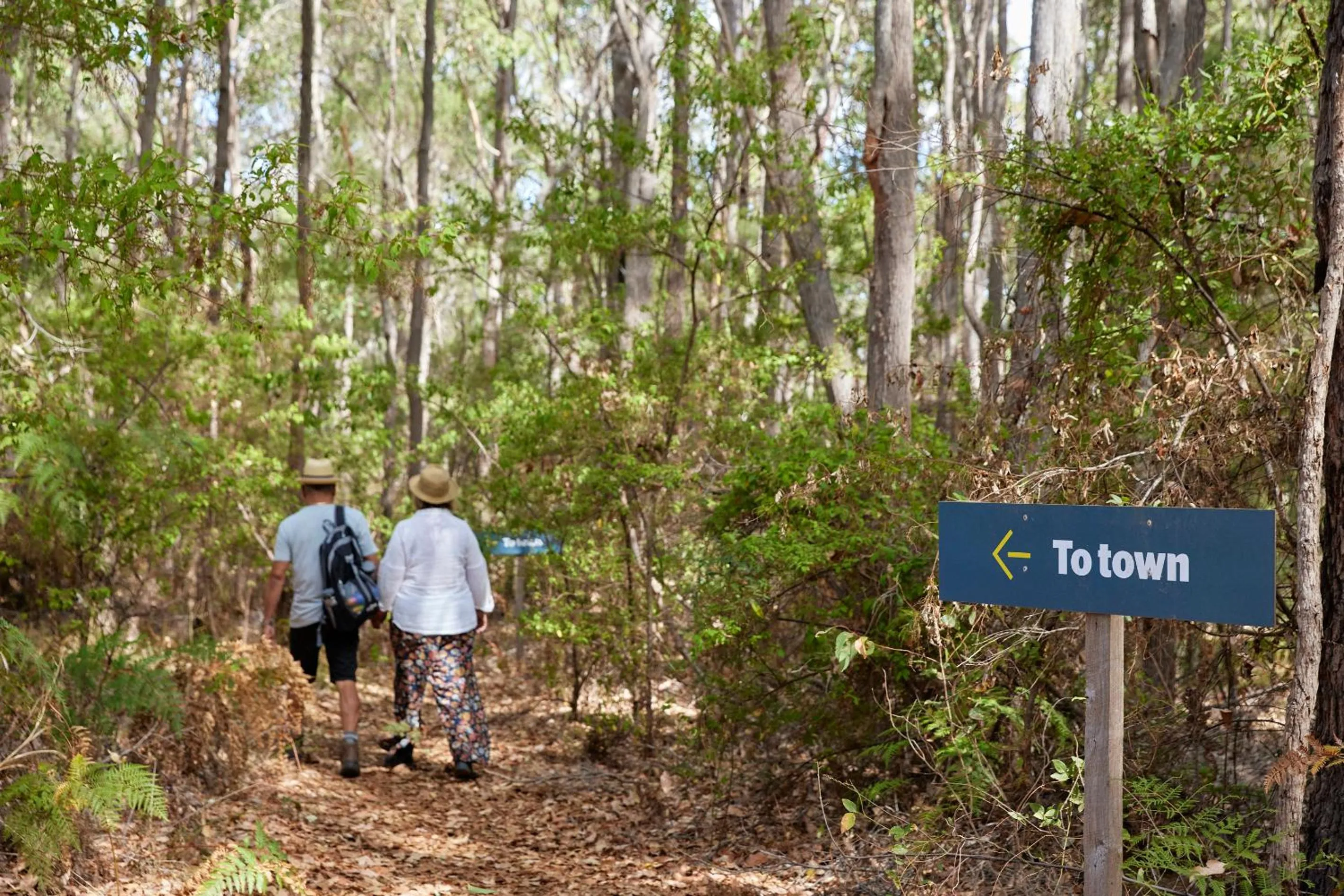 Natural landscape in RAC Margaret River Nature Park