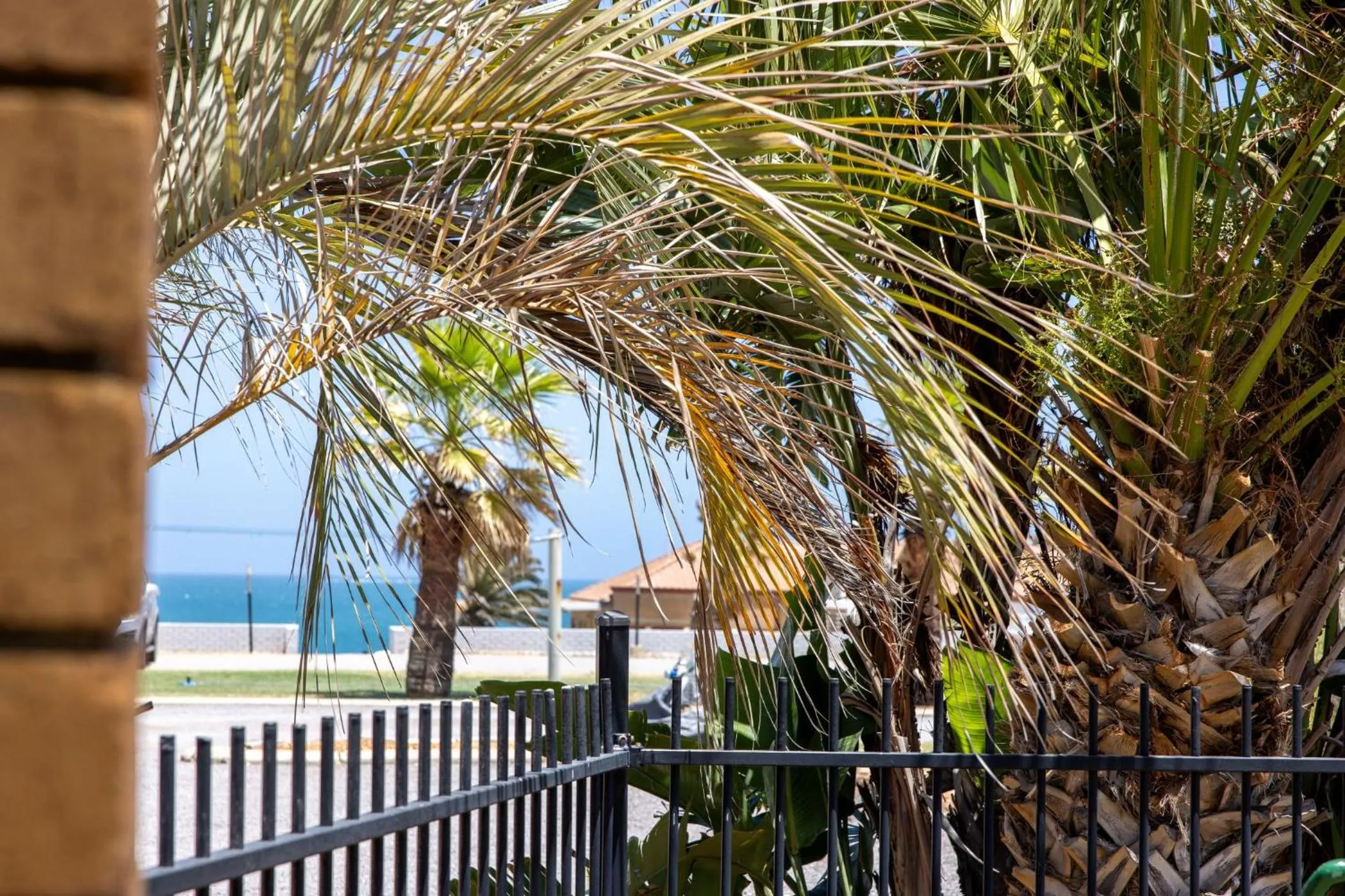 Natural landscape in The African Reef