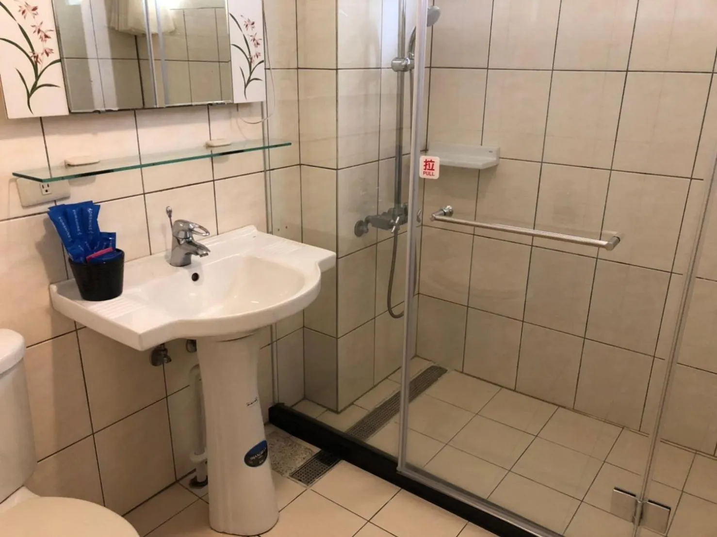 Shower in Cingjing Brilliant Twins of Seattle