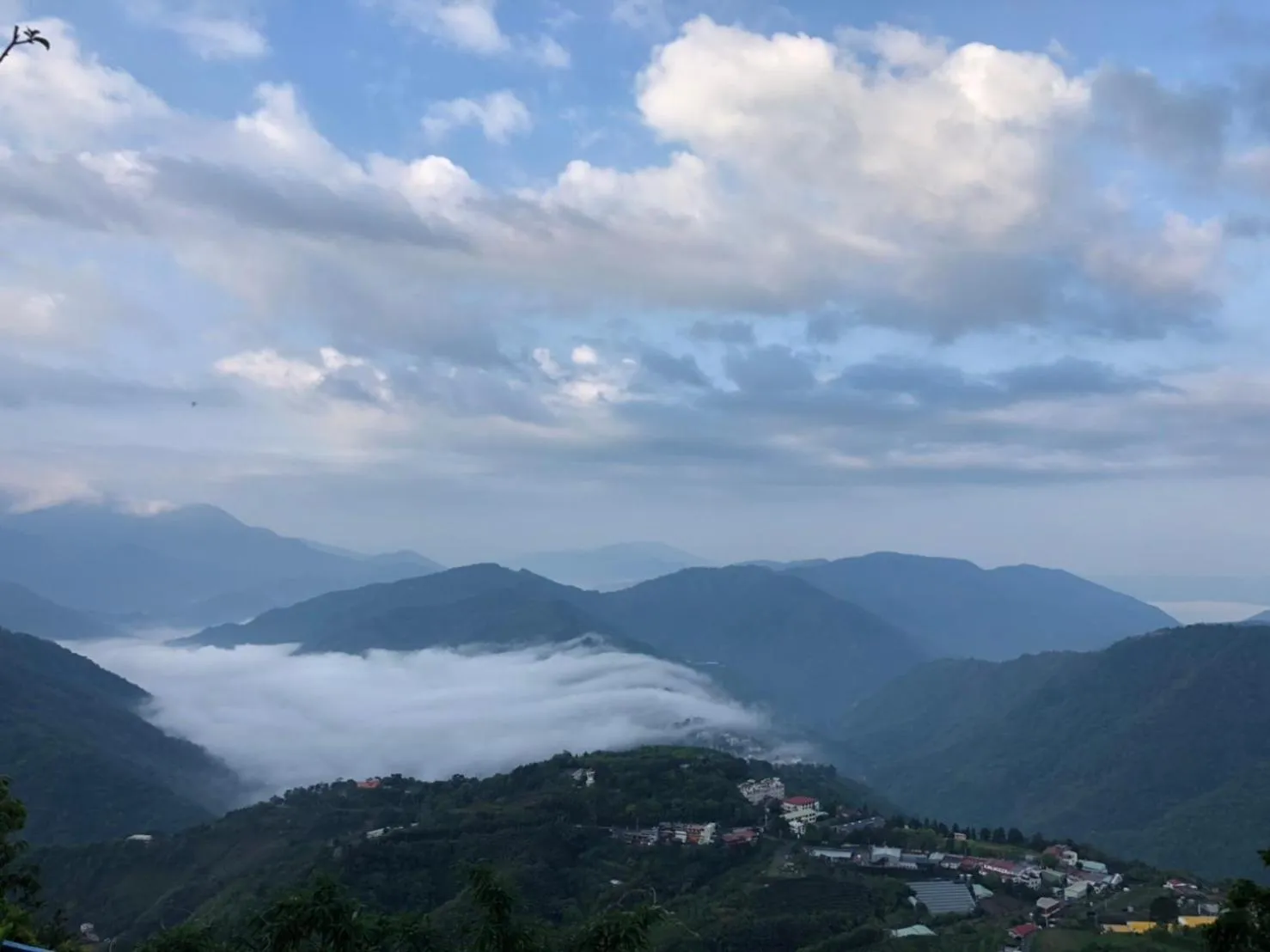 Off site in Cingjing Brilliant Twins of Seattle