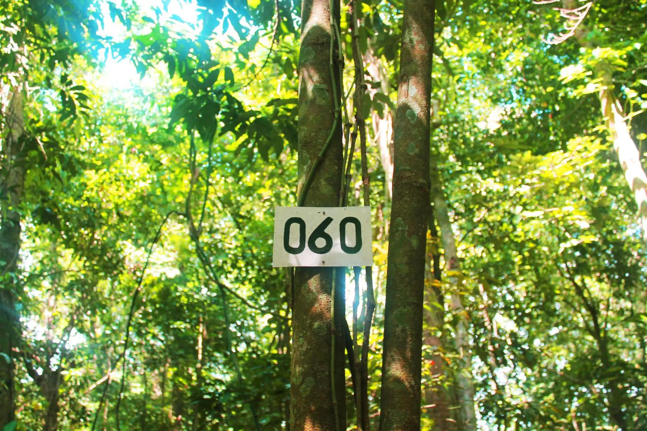 Hiking in Forest Crest Nature Hotel and Resort Powered by ASTON