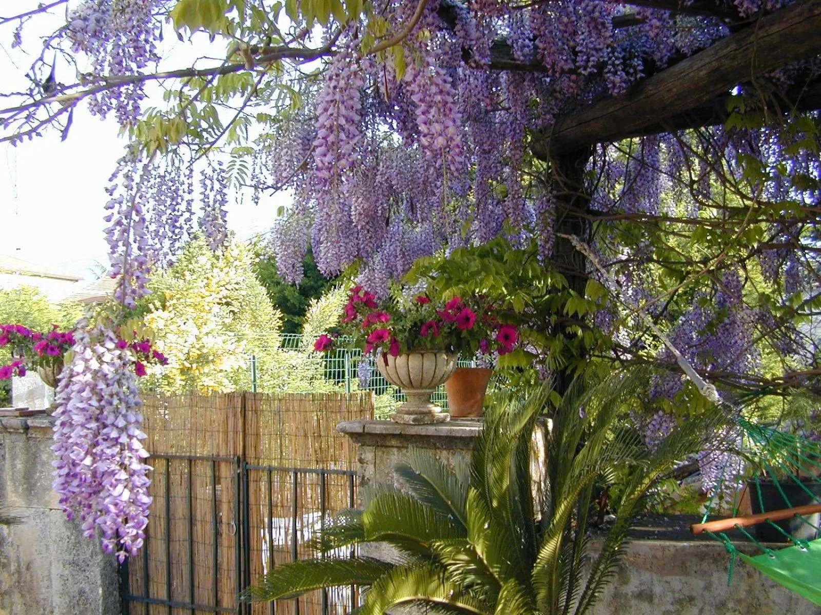 Spring in Case Zuccaro