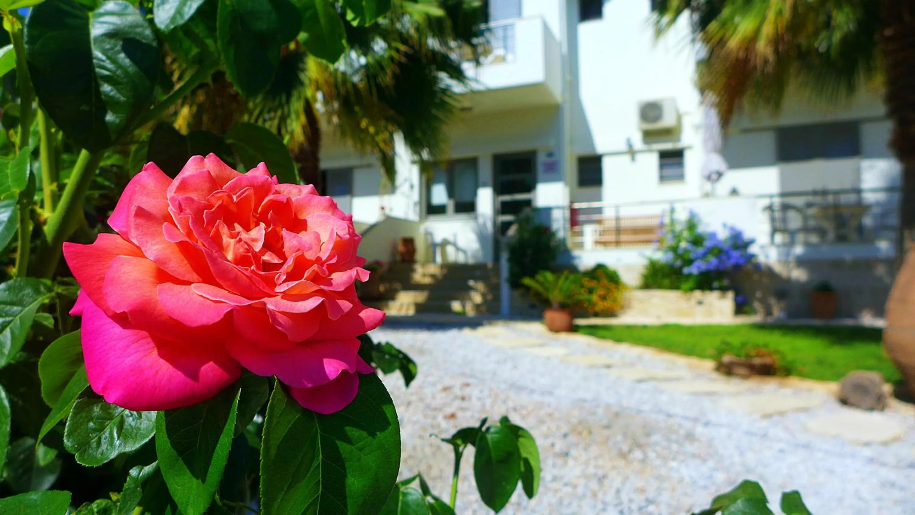Facade/entrance in Lion-Suites