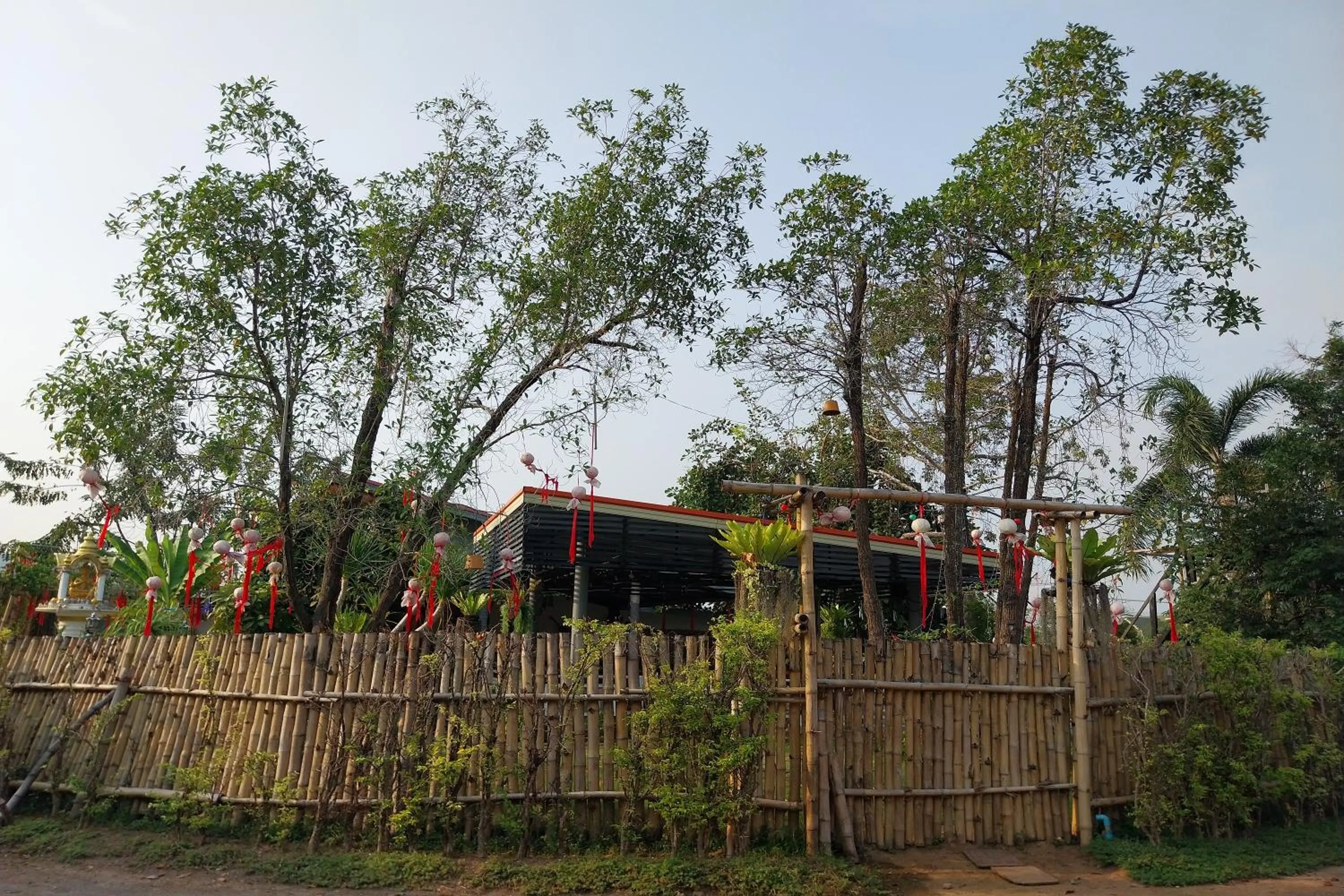 Area and facilities in Review Resort